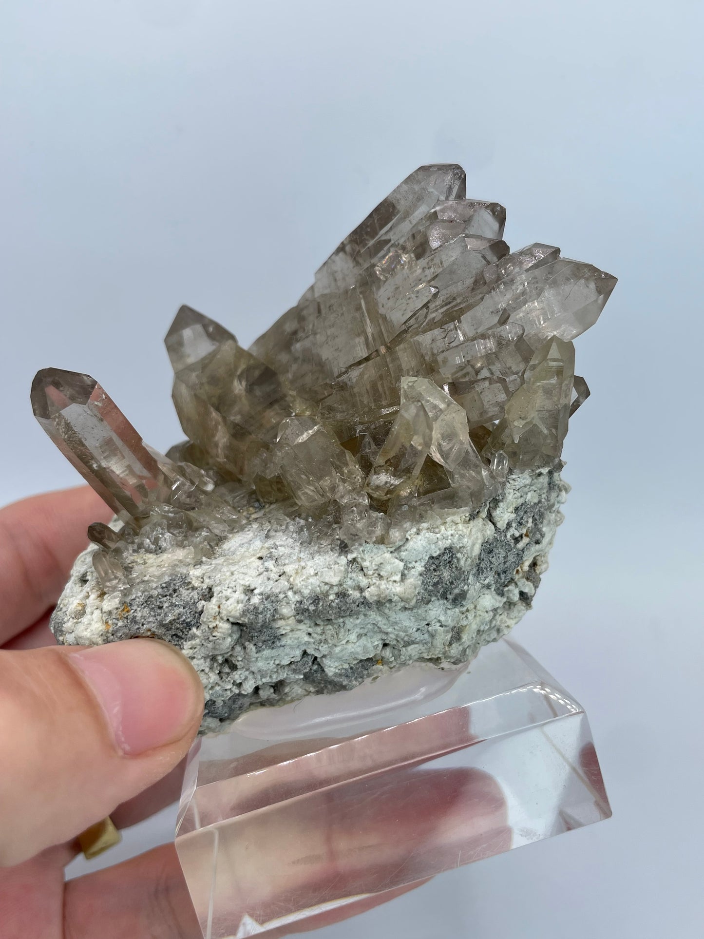 Gwindel Quartz, Marmotta Cleft, Grimsel, Bernese Alps, Switzerland