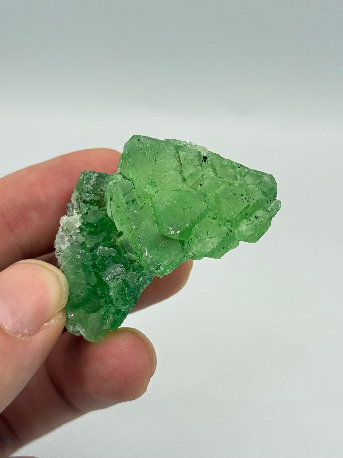 Fluorite, Milpo mine, Atacocha, Pasco Prov., Peru