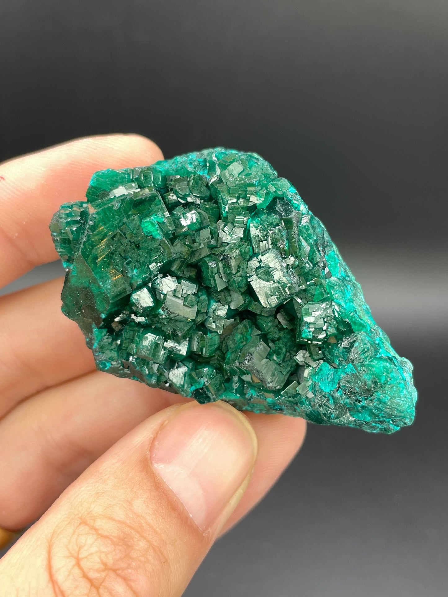 Dioptase, Tantara Mine, Haut-Katanga, DR Congo