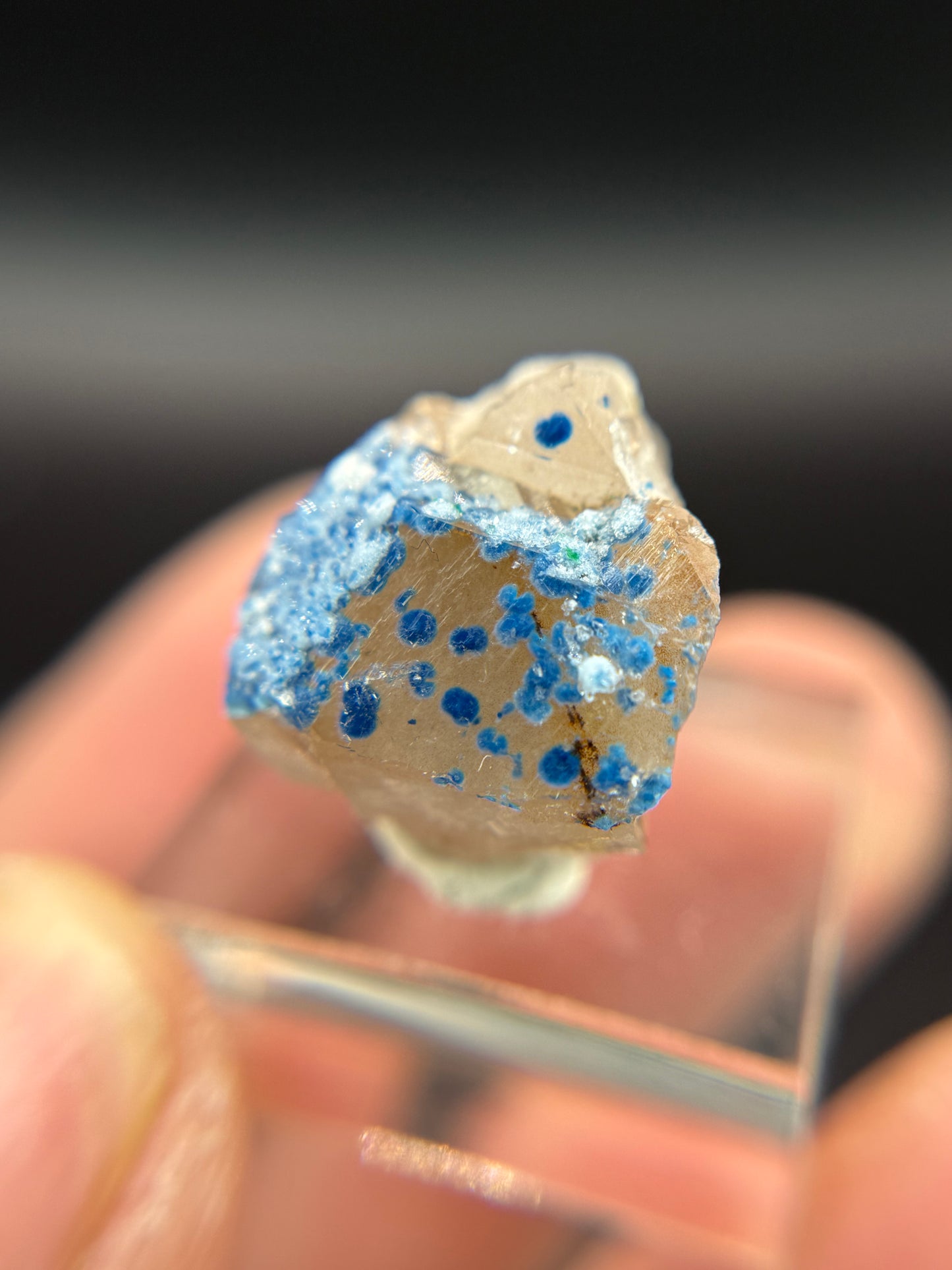 Shattuckite in Quartz, Kunene Region, Namibia