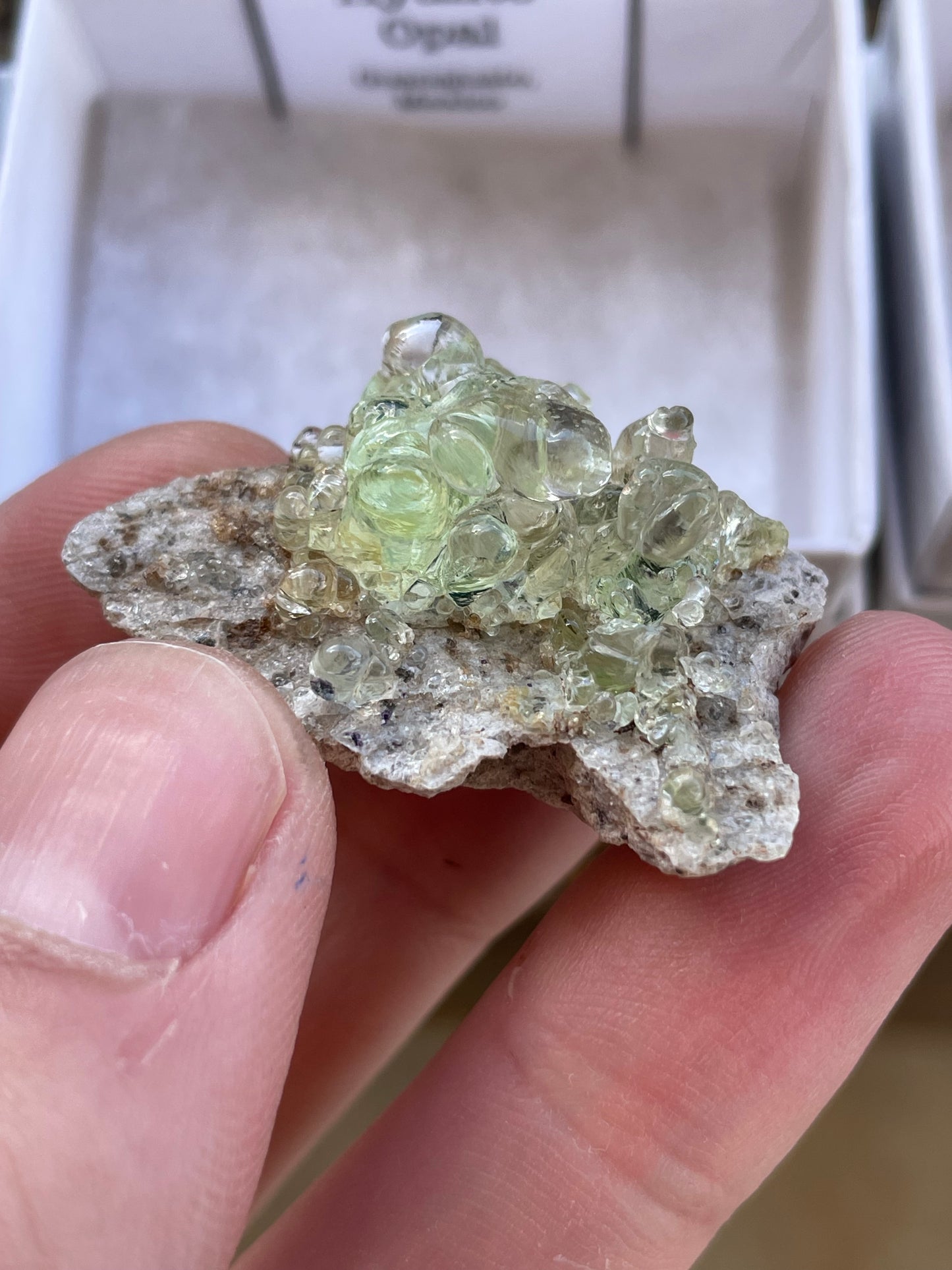 Hyalite Opal with Fluorite Inclusions, Guanajuato, Mexico