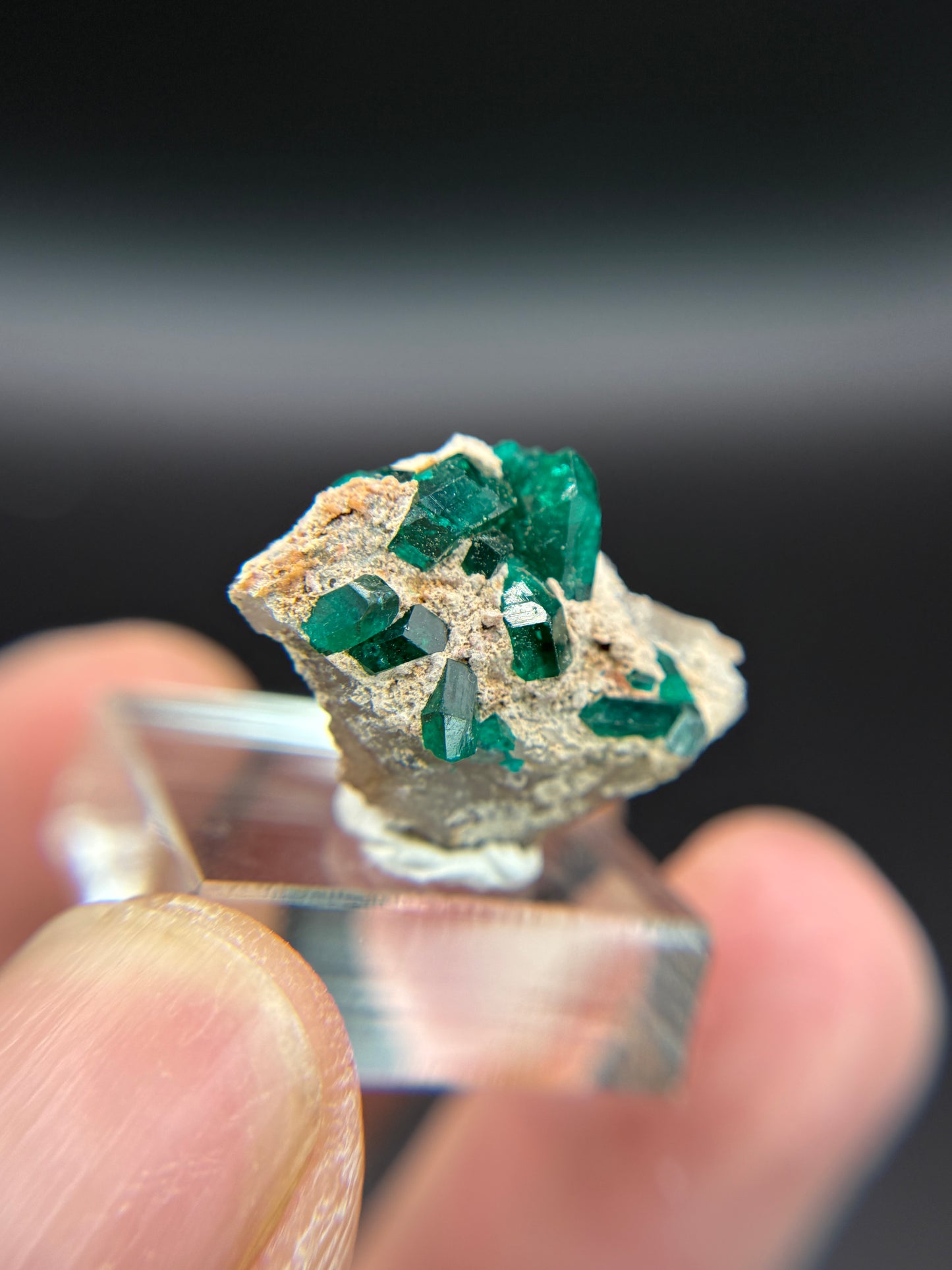 Dioptase, Kunene Region, Namibia
