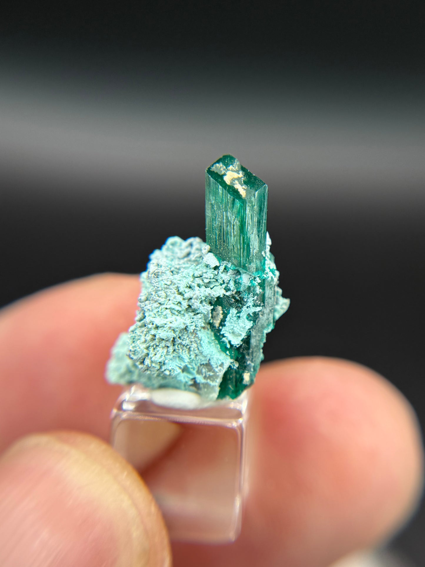 Dioptase and Shattuckite, Kunene Region, Namibia