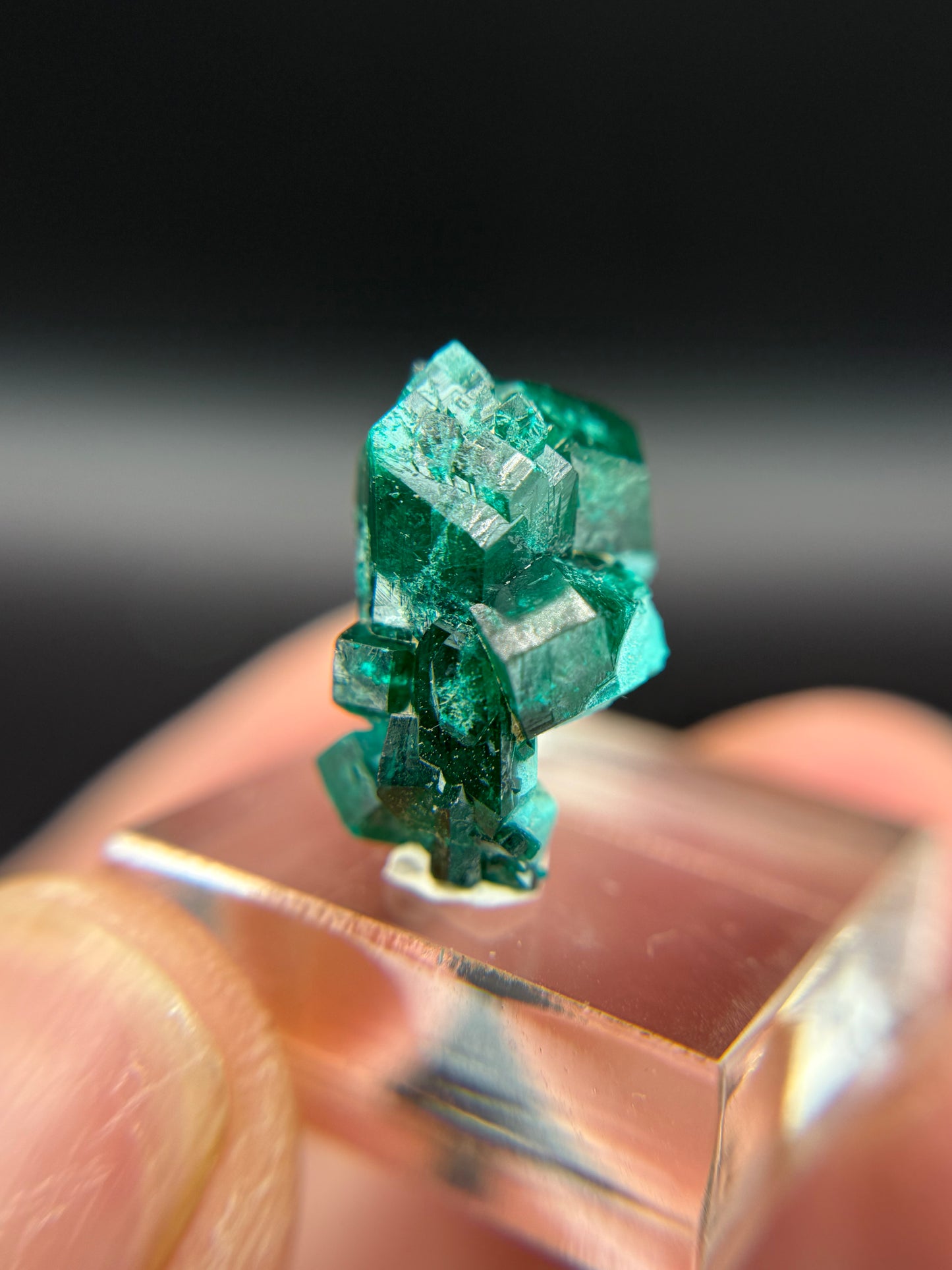 Dioptase, Kunene Region, Namibia
