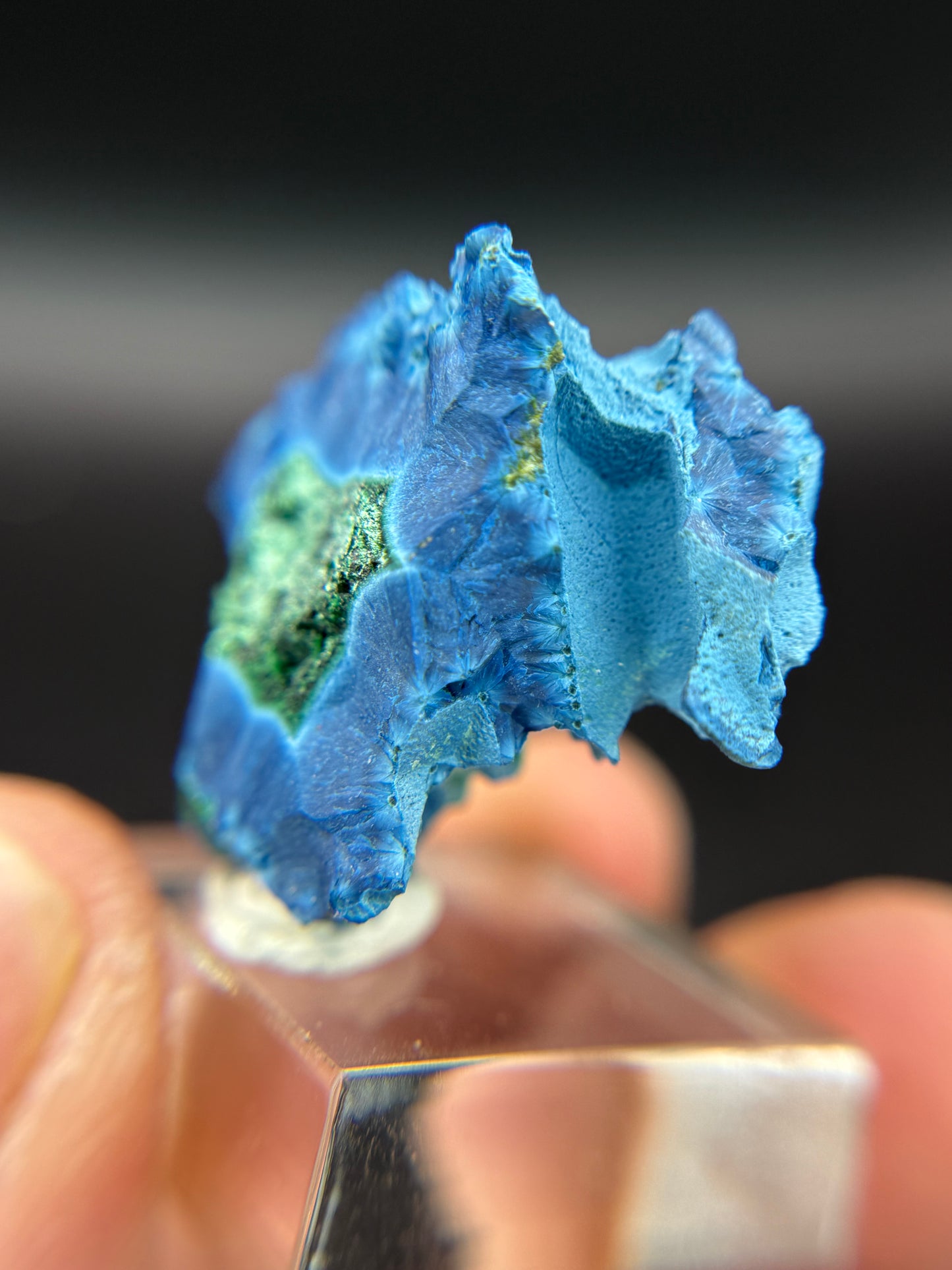 Shattuckite with Malachite, Kunene Region, Namibia