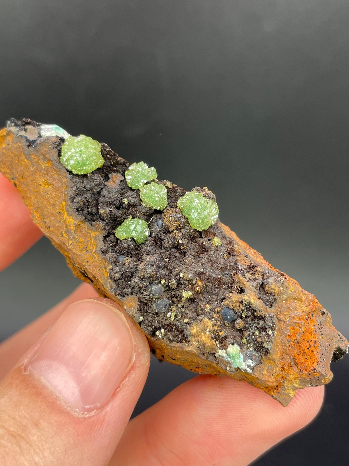 Cuprian Adamite, Ojuela Mine, Mapimi, Durango, Mexico