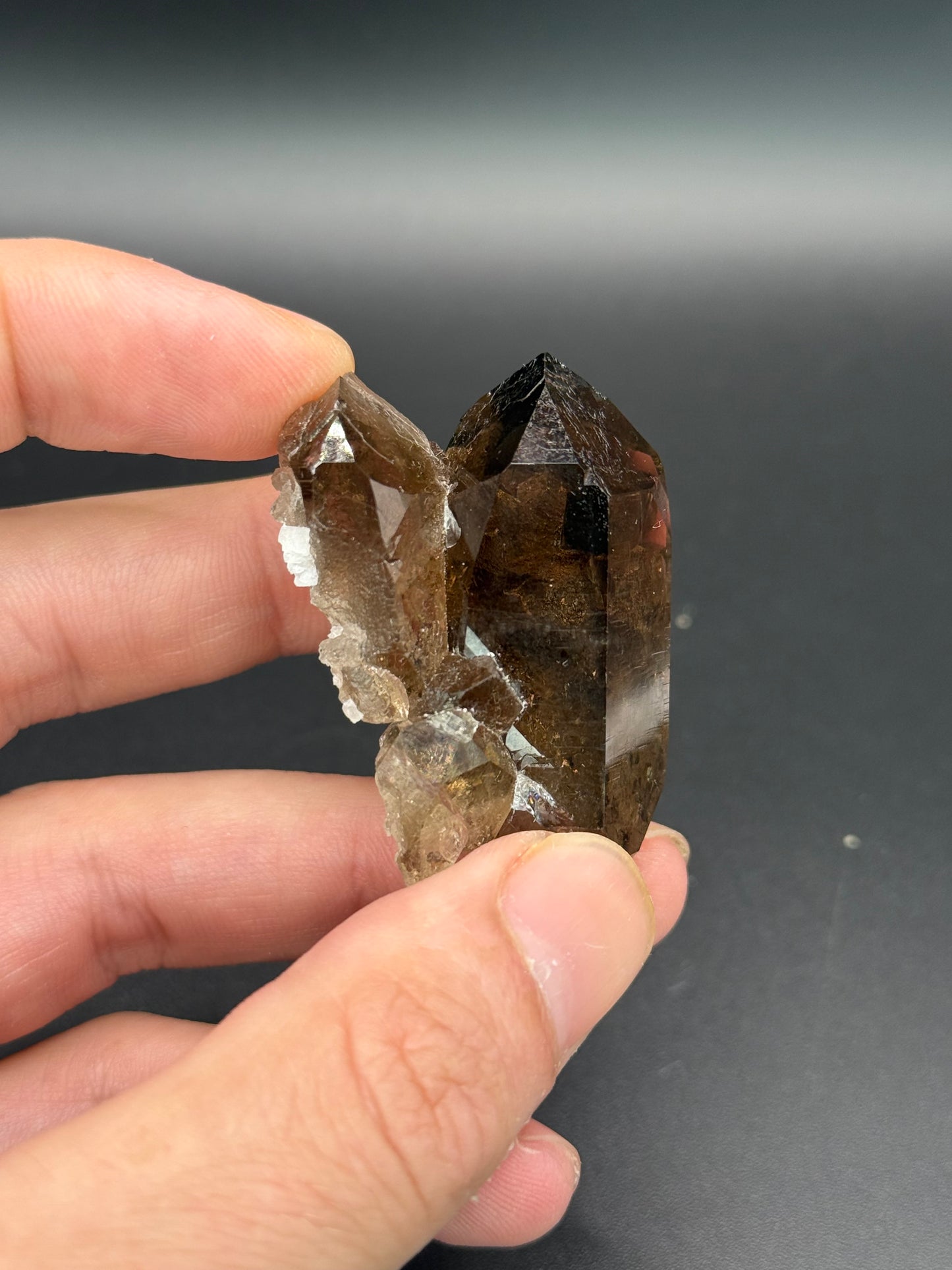 Smoky Quartz, Val Giuv, Tujetsch, Surselva Region, Grisons, Switzerland