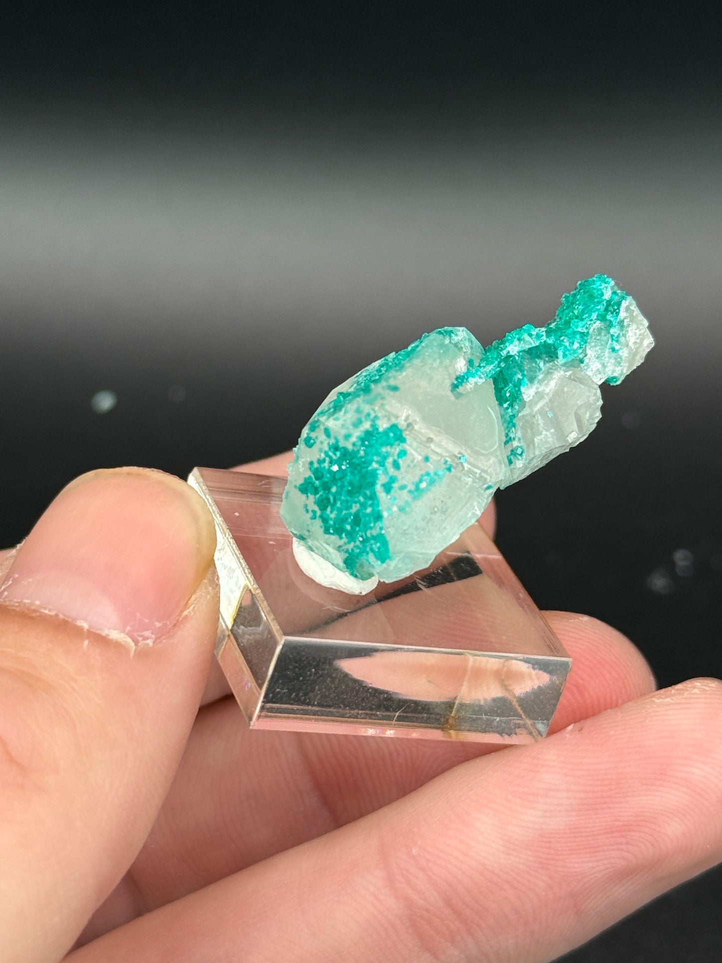Dioptase and Quartz, Kunene Region, Namibia