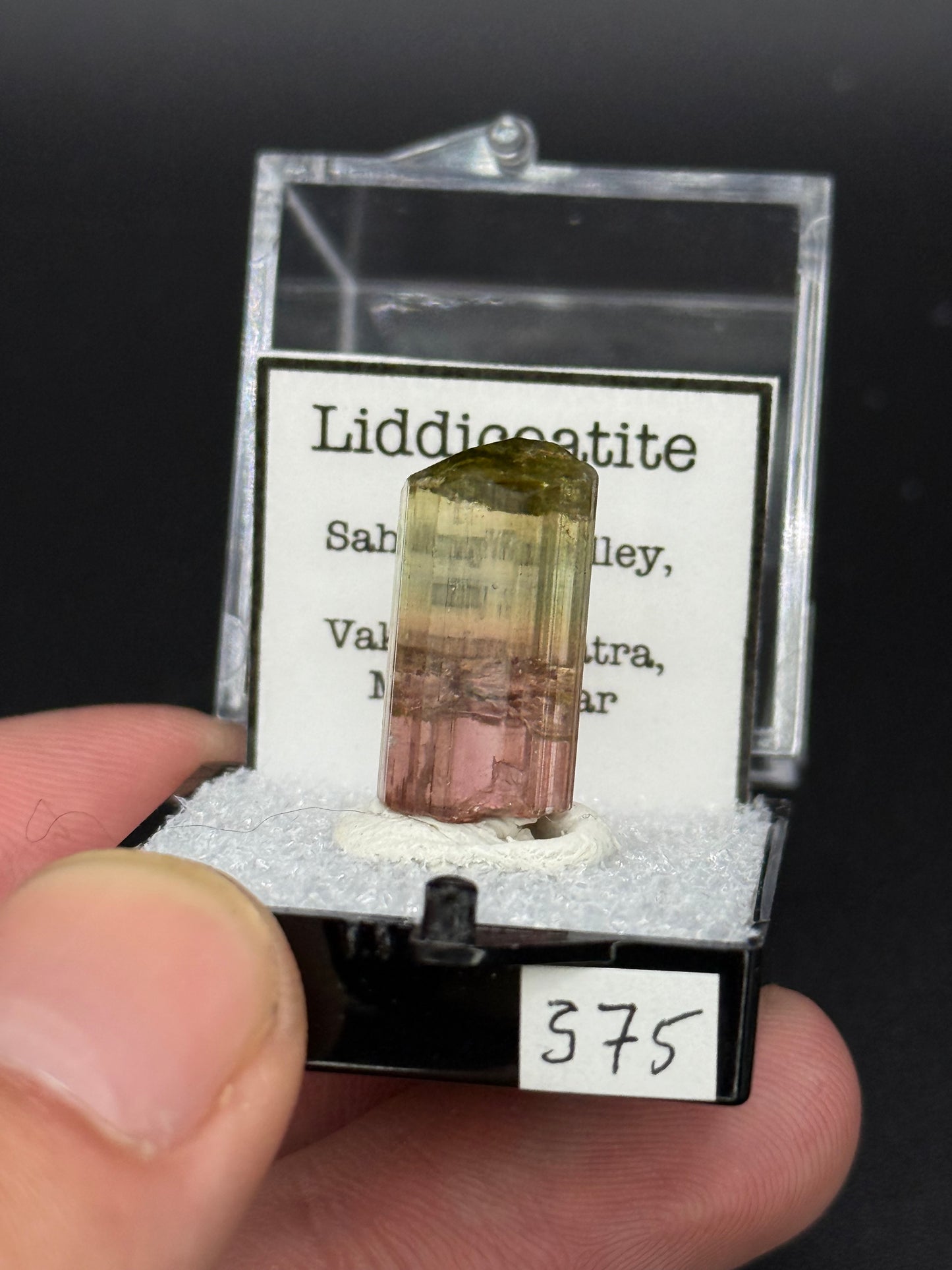 Liddicoatite, Sahatany Valley, Ibity, Vakinankaratra, Madagascar