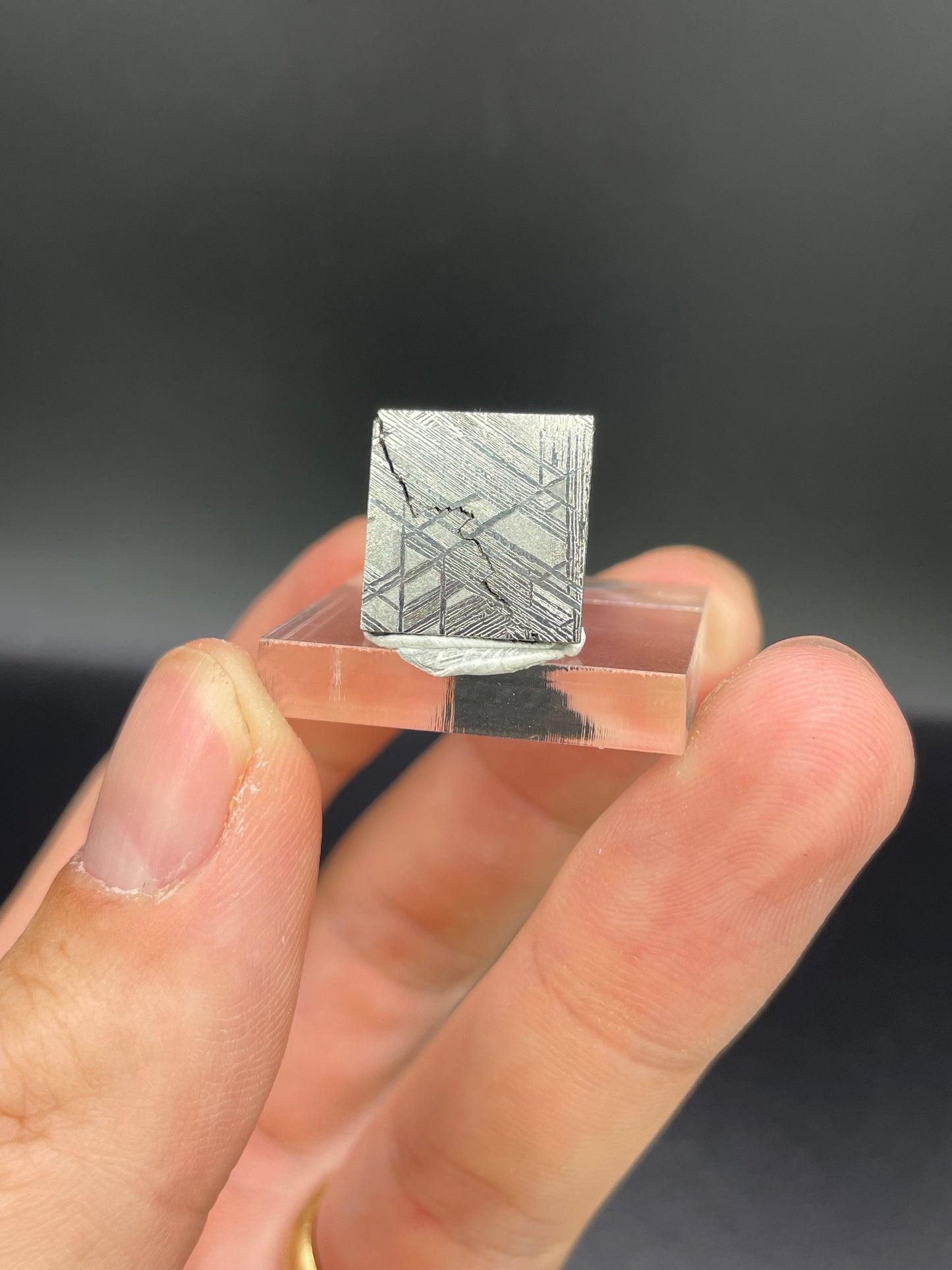 Muonionalusta Meteorite Slice from Norrbotten, Sweden