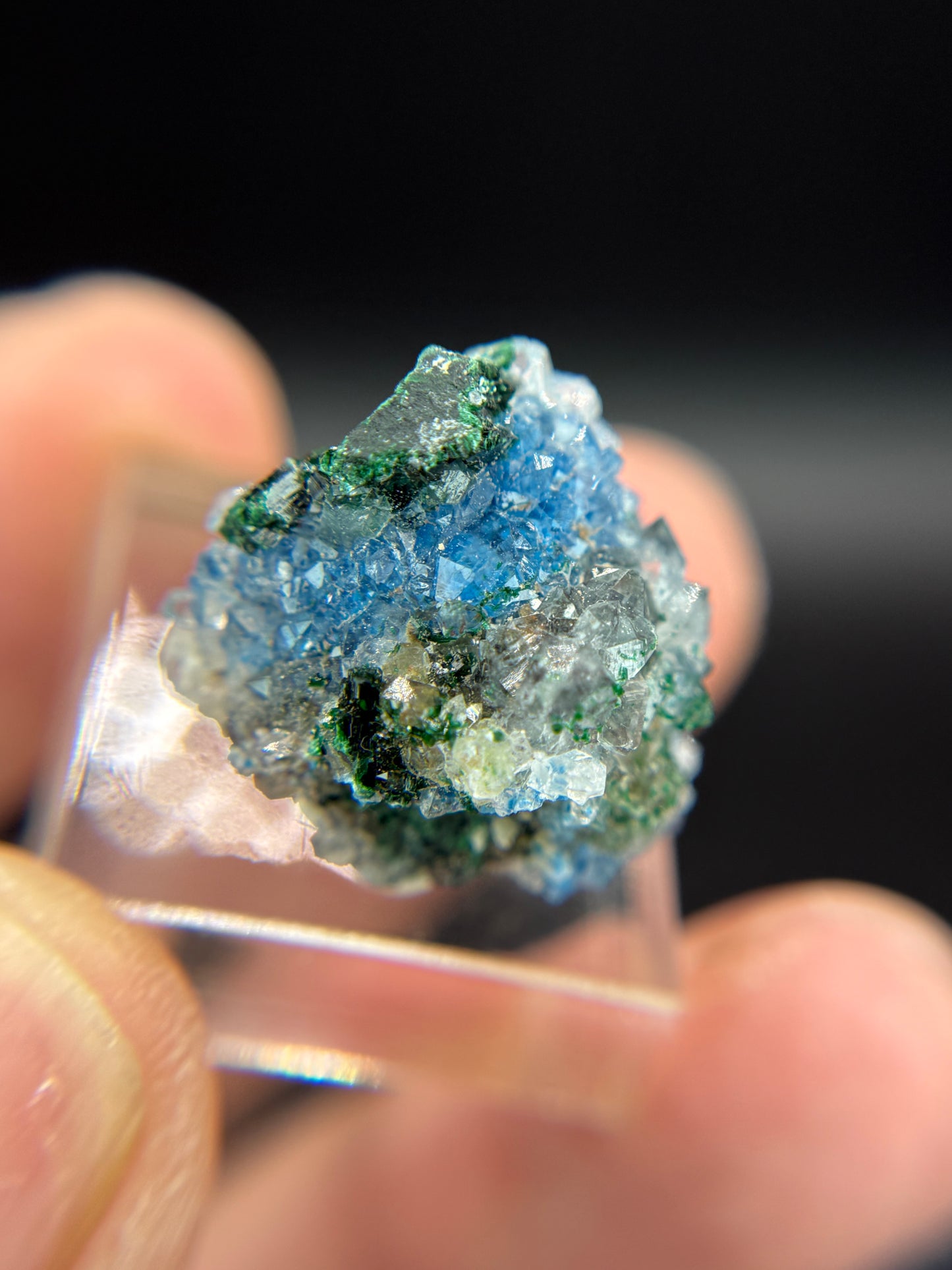 Shattuckite, Malachite and Quartz, Kunene Region, Namibia