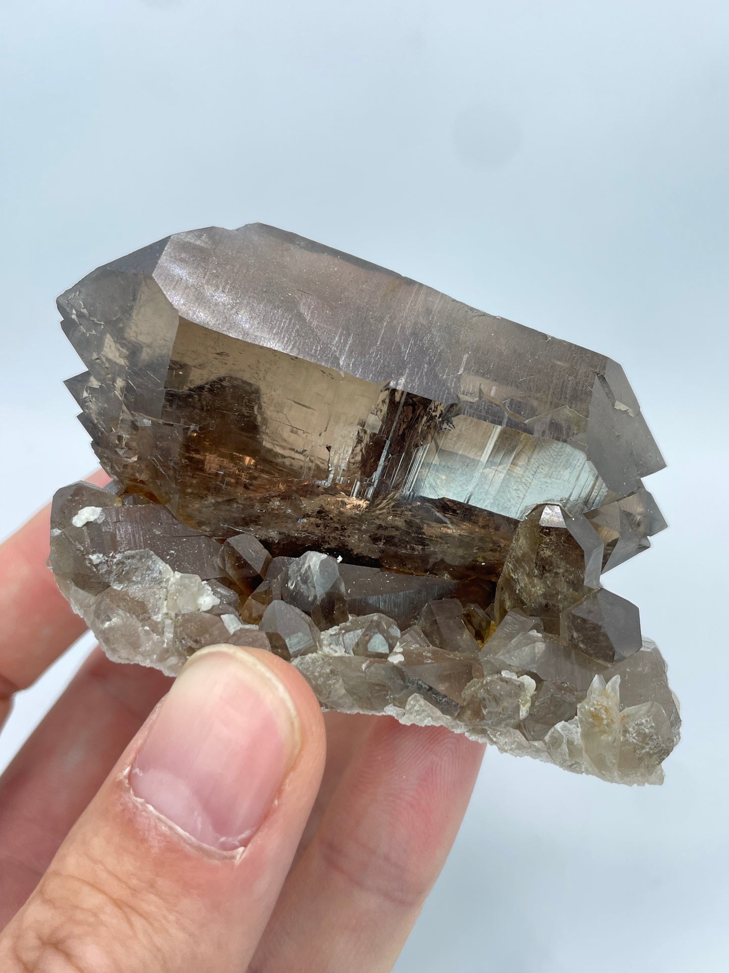 Gwindel Smoky Quartz, Sidelenglacier, Furka, Uri, Switzerland