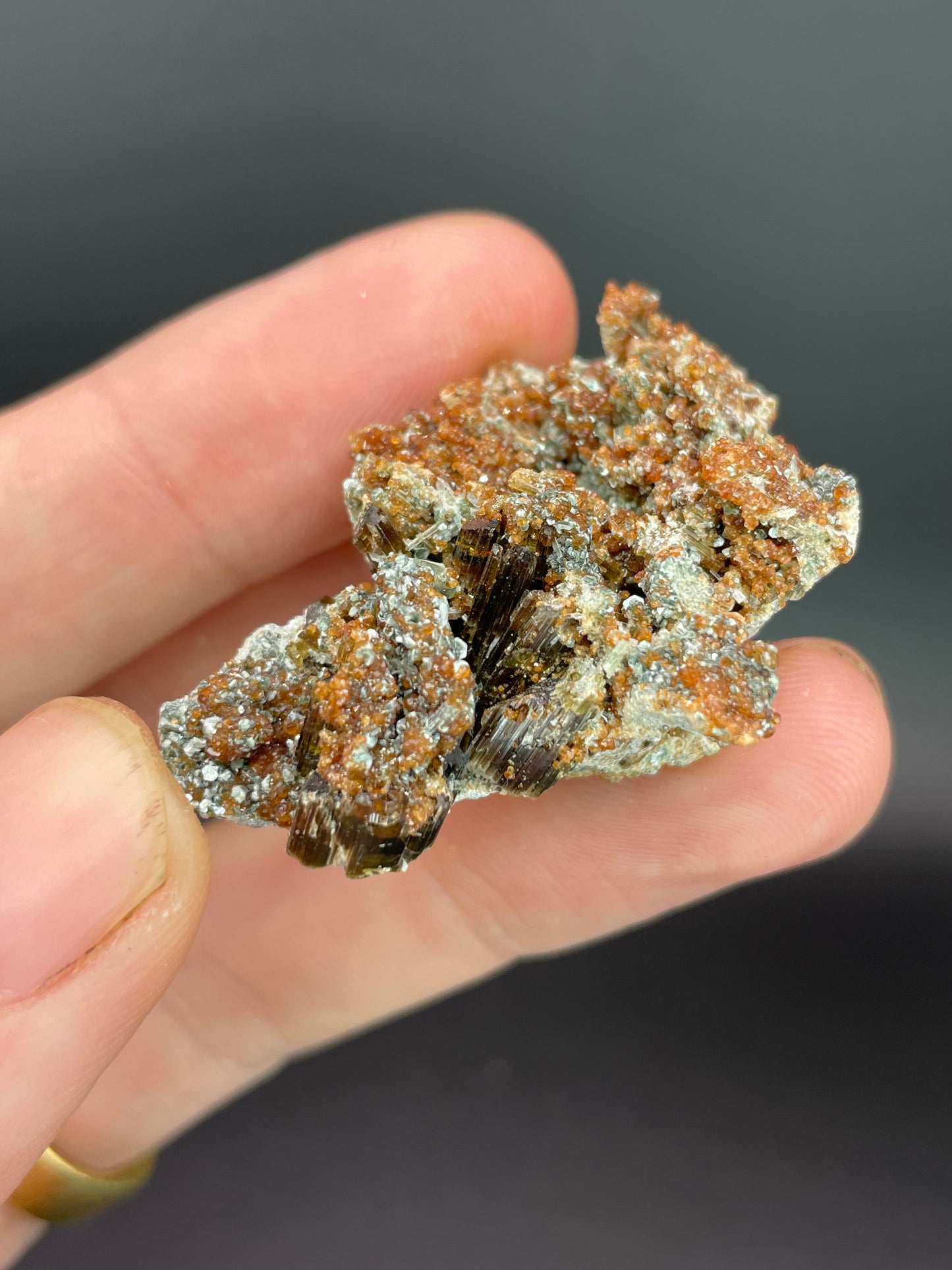 Vesuvianite, Diopside, Hessonite Garnet, Clinochlore, Valle d'Aosta, Italy