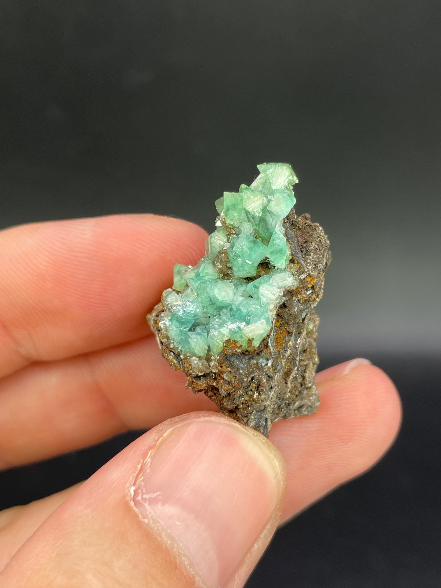 Cuprian Adamite, Ojuela Mine, Mapimi, Durango, Mexico