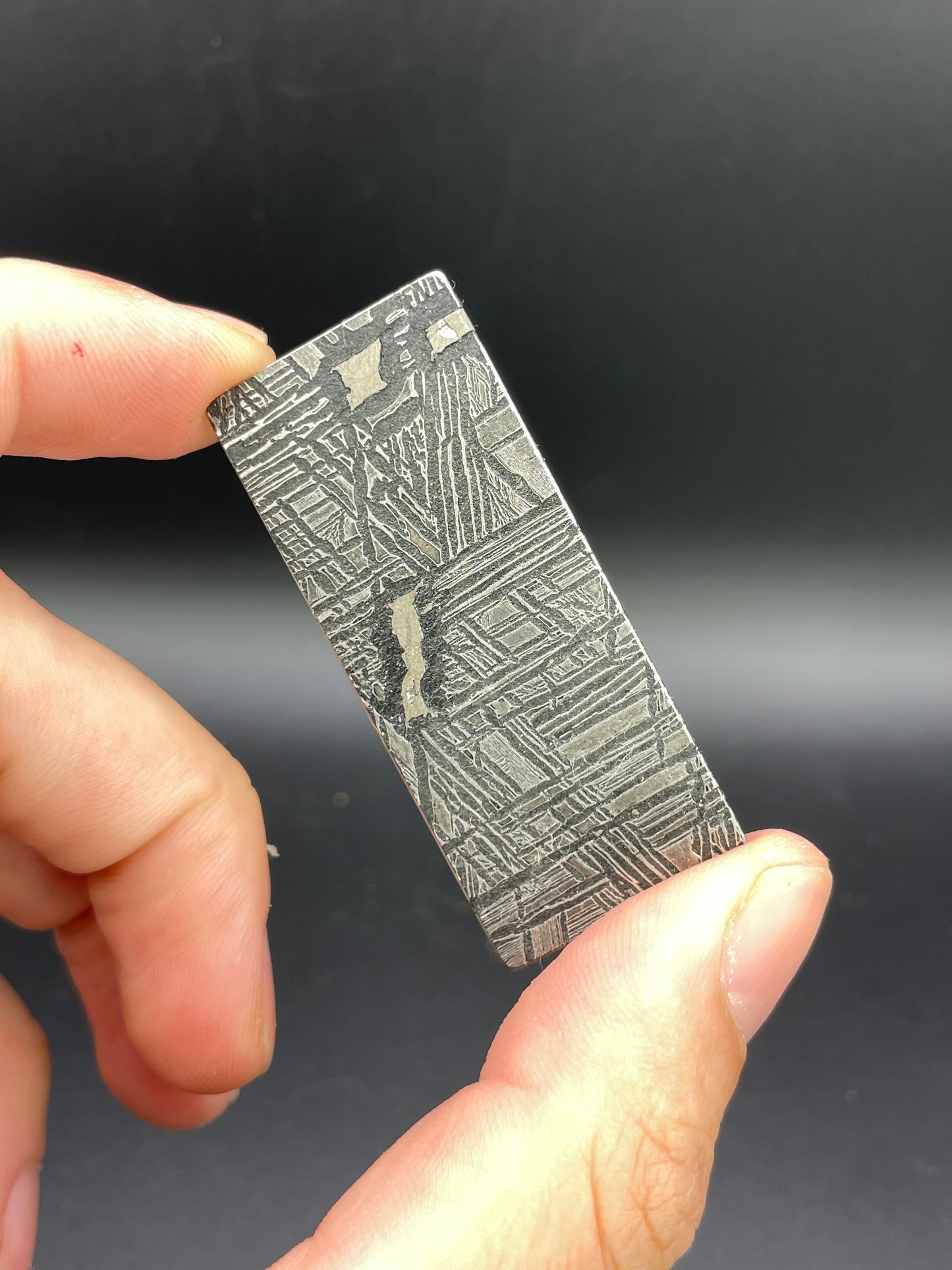 Aletai Meteorite Slice, China