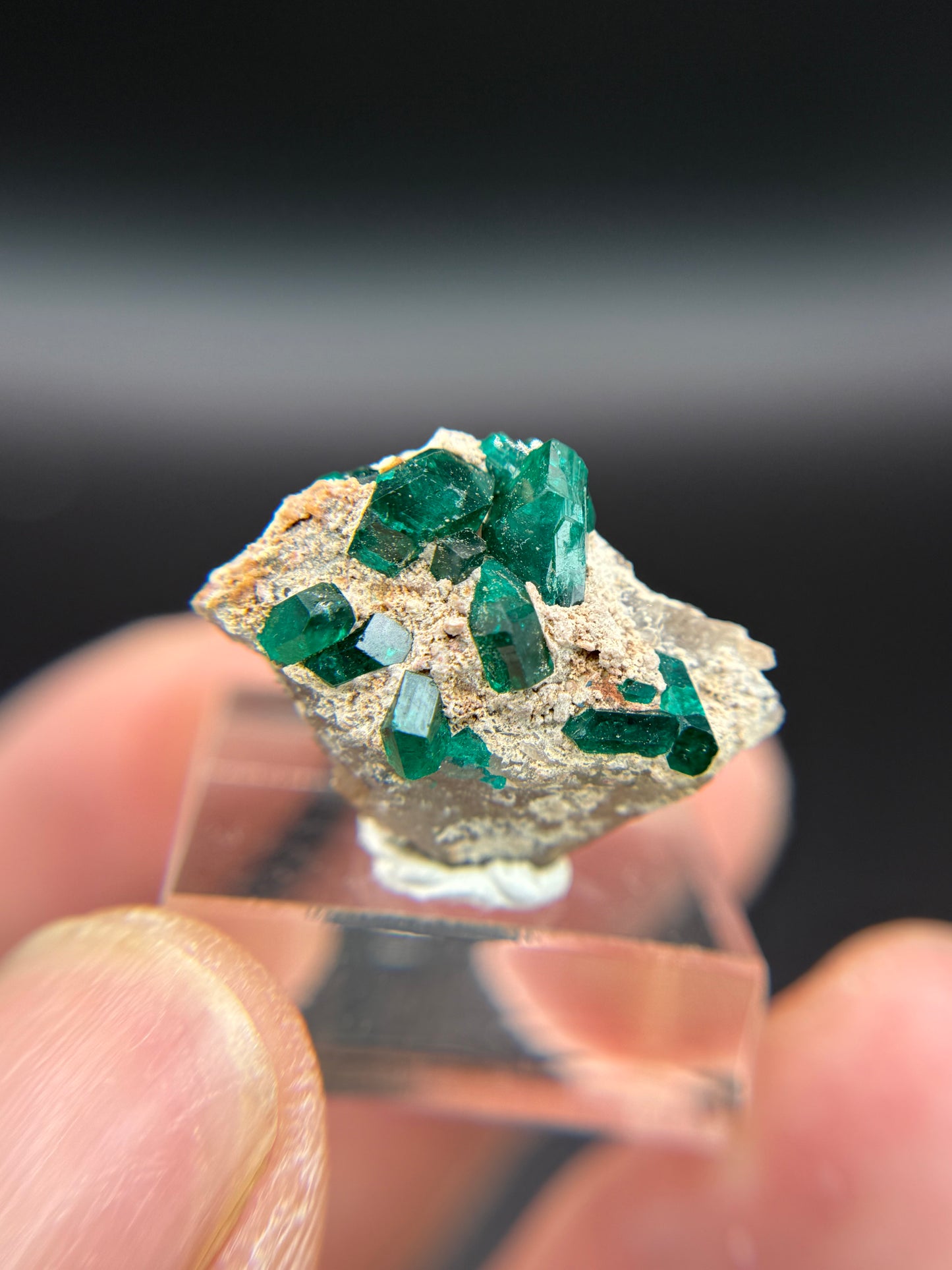 Dioptase, Kunene Region, Namibia