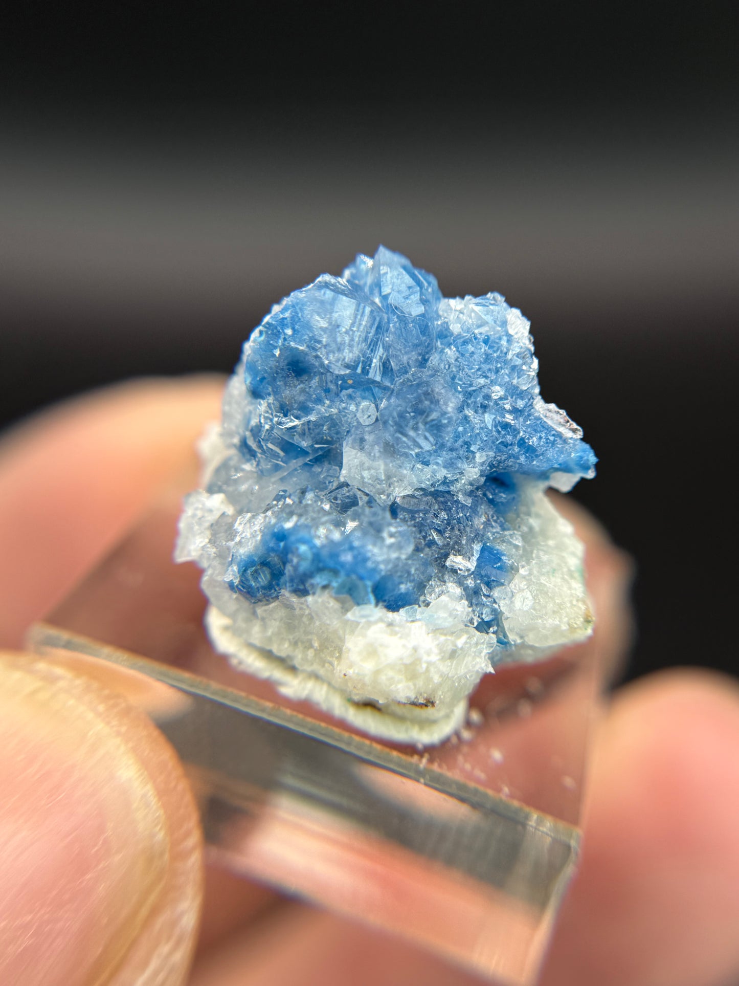 Shattuckite in Quartz, Kunene Region, Namibia