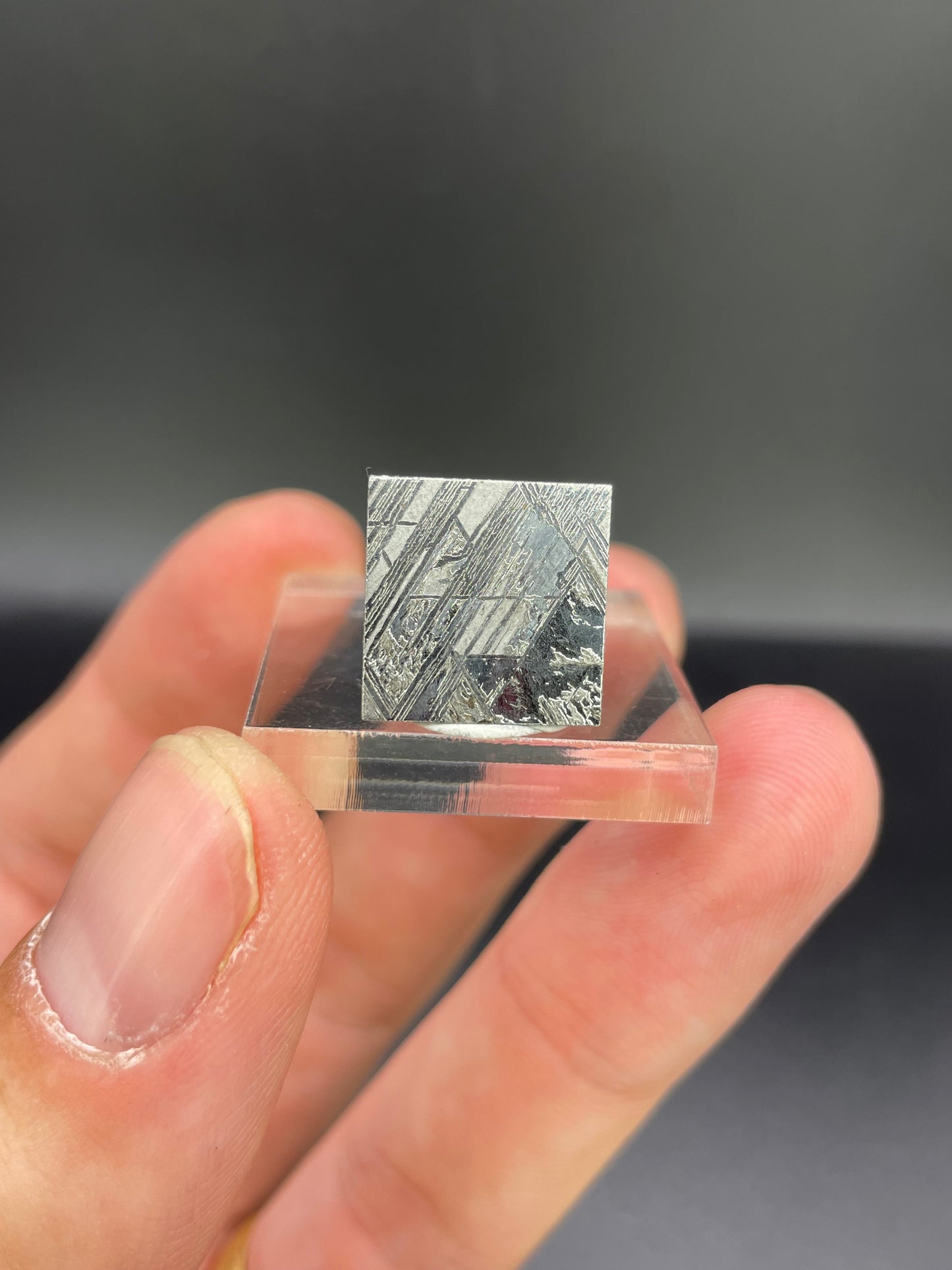 Muonionalusta Meteorite Slice from Norrbotten, Sweden