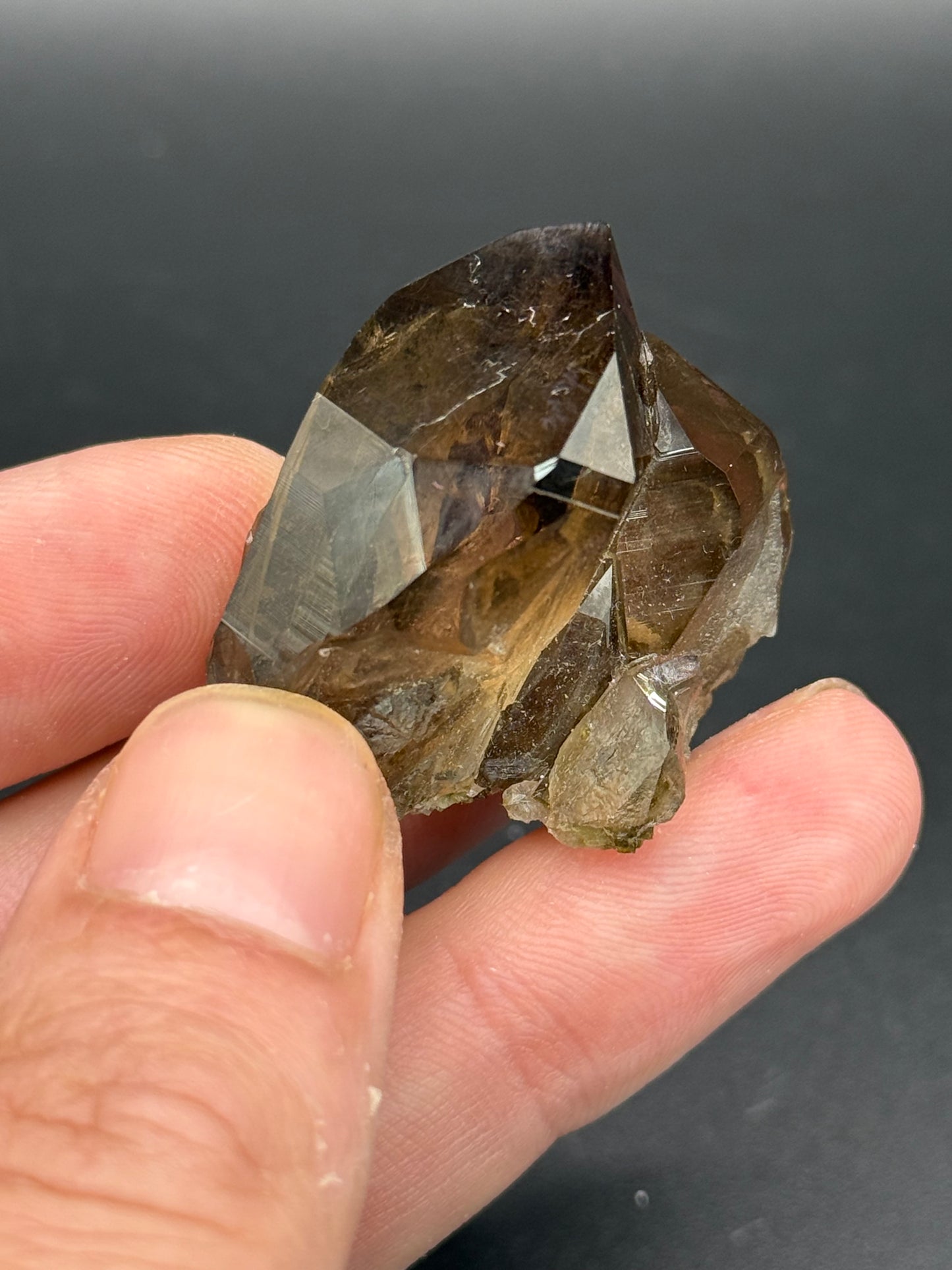 Smoky Quartz, Val Giuv, Tujetsch, Surselva Region, Grisons, Switzerland