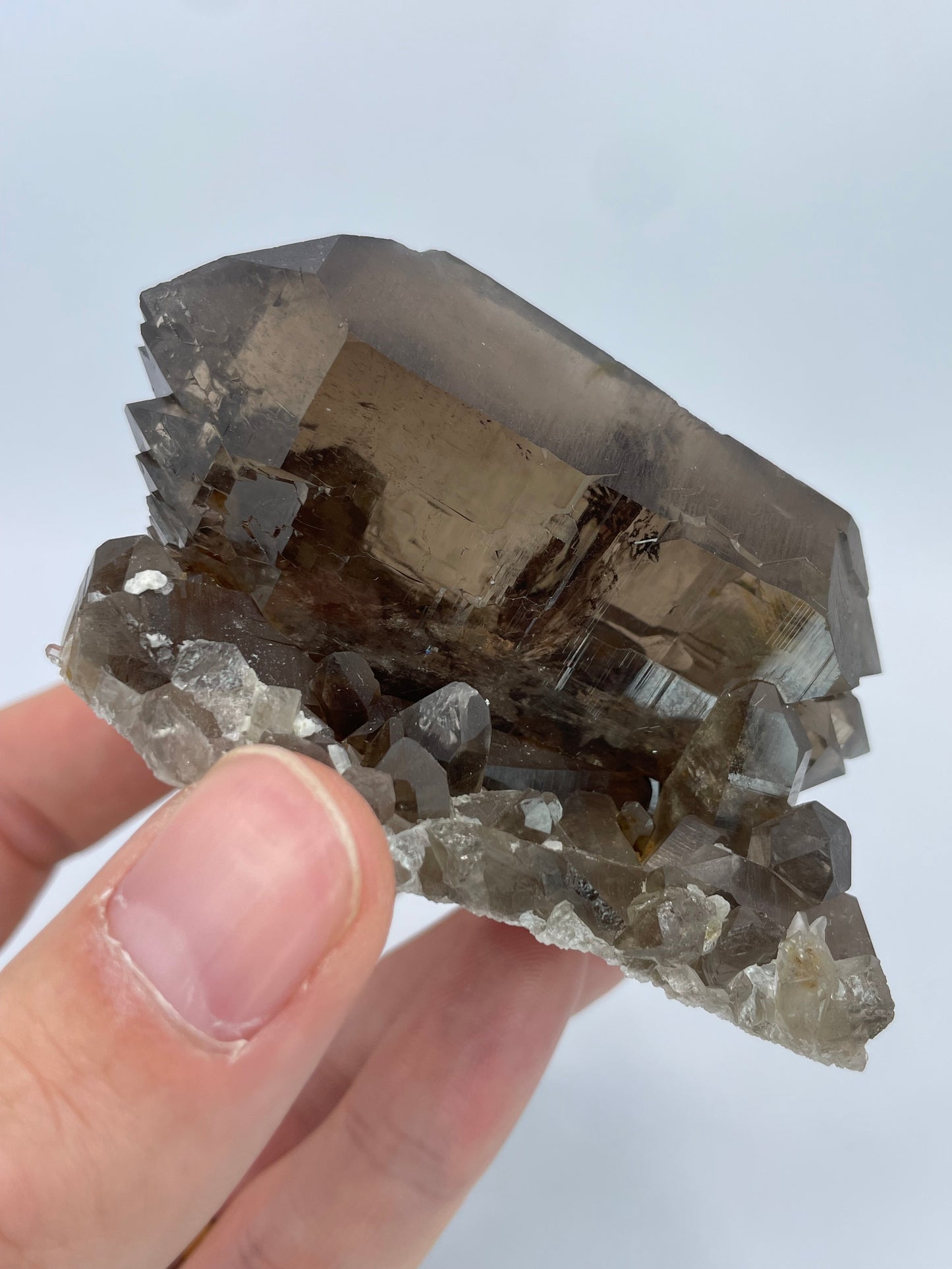 Gwindel Smoky Quartz, Sidelenglacier, Furka, Uri, Switzerland