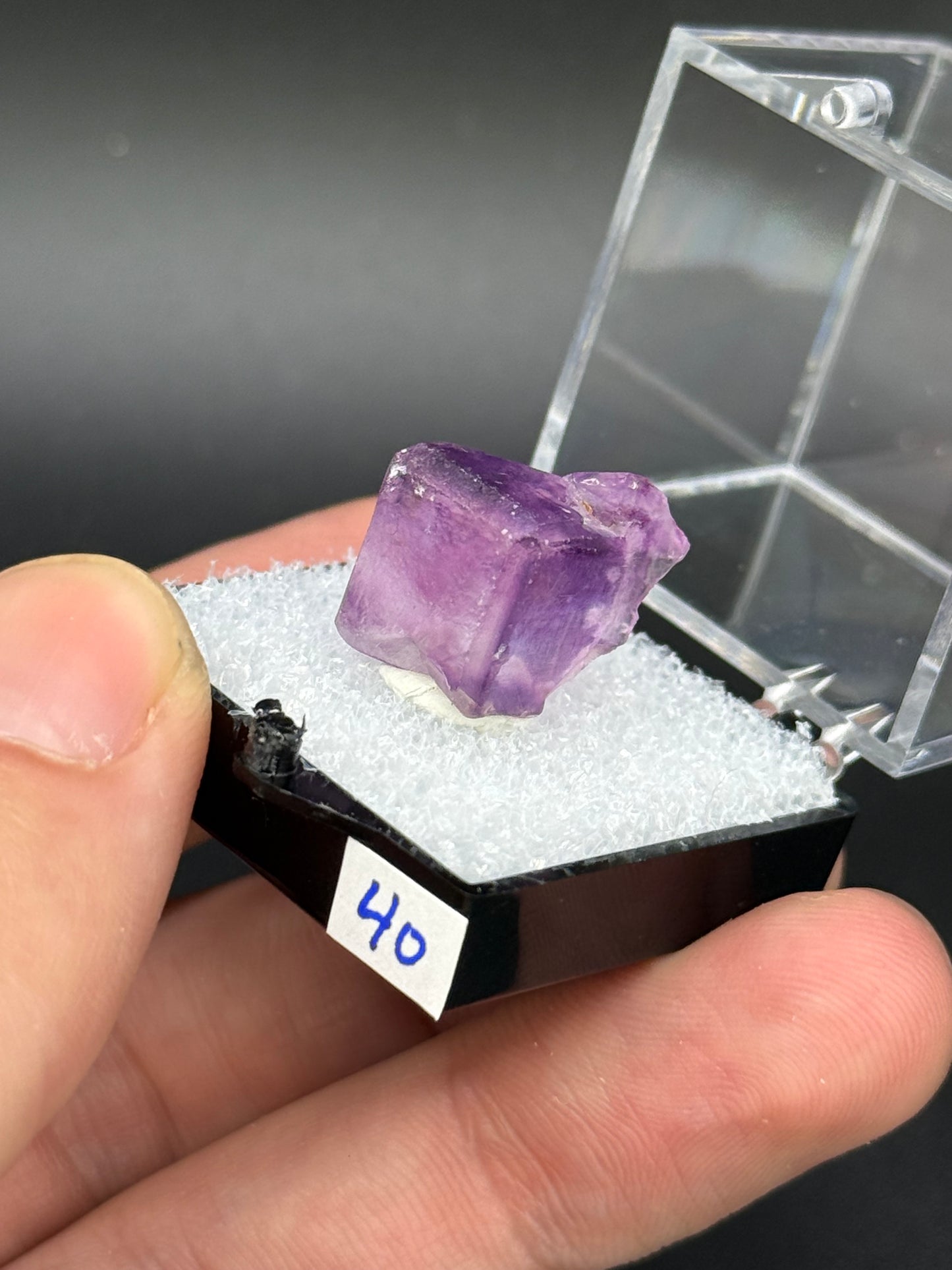 Fluorite, Mandinga Mine, Laguna Brava, Loboy District, Unión Department, Córdoba Province, Argentina.