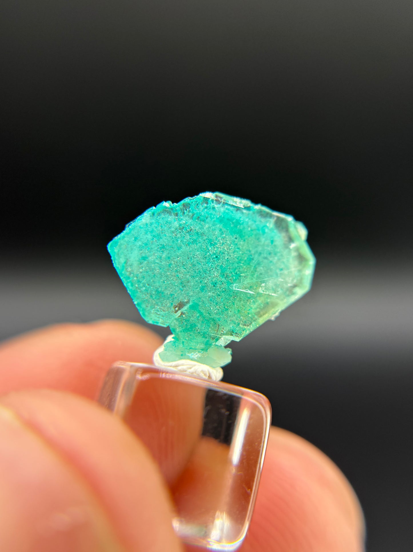 Dioptase and Quartz, Kunene Region, Namibia