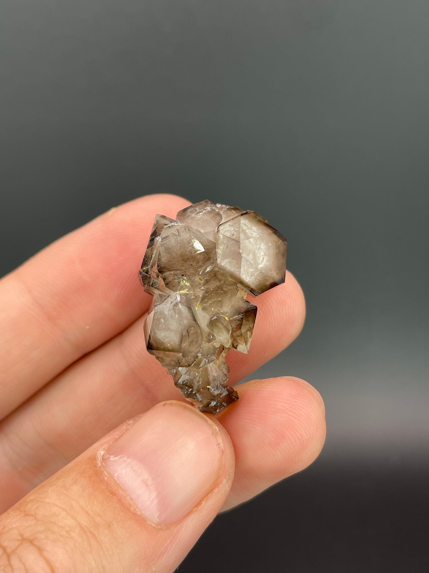 Smoky Quartz, Johanneszeche, Goepfersgruen,, Germany