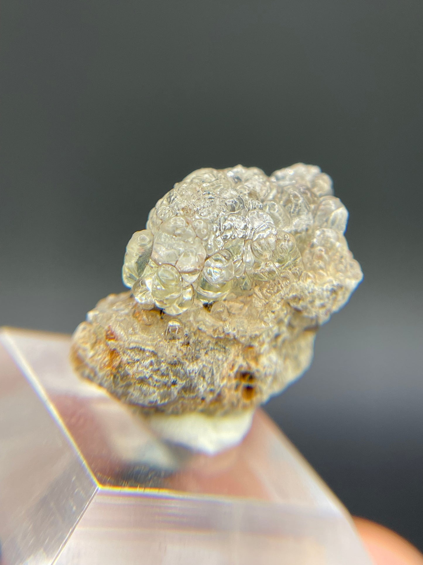 Hyalite Opal, Guanajuato Mexico