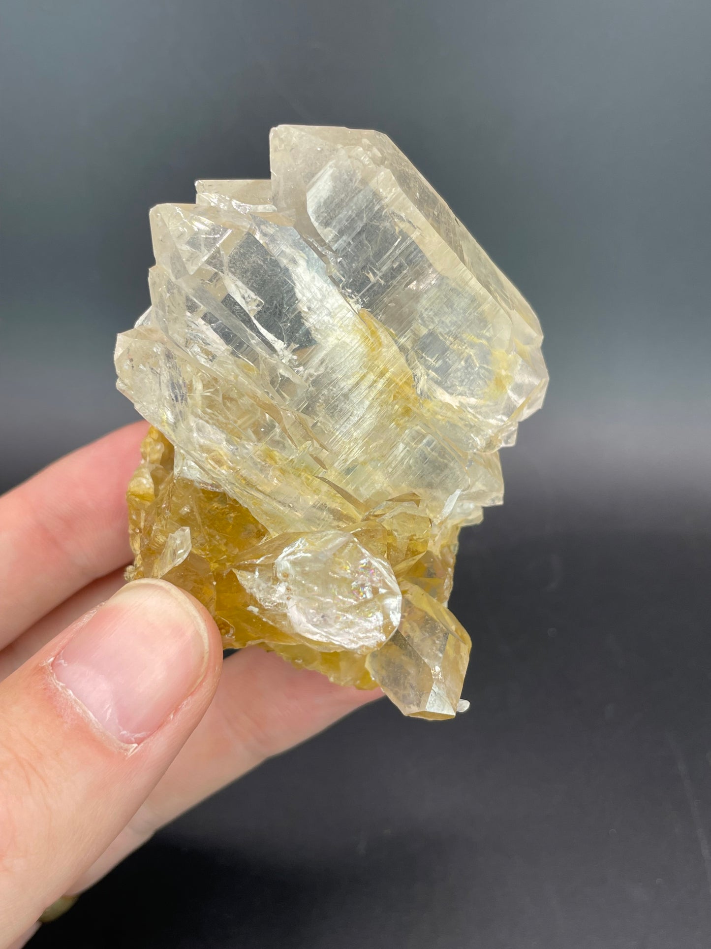 Quartz Gwindel, Oberaargletscher, Grimsel, Bernese Apls, Switzerland