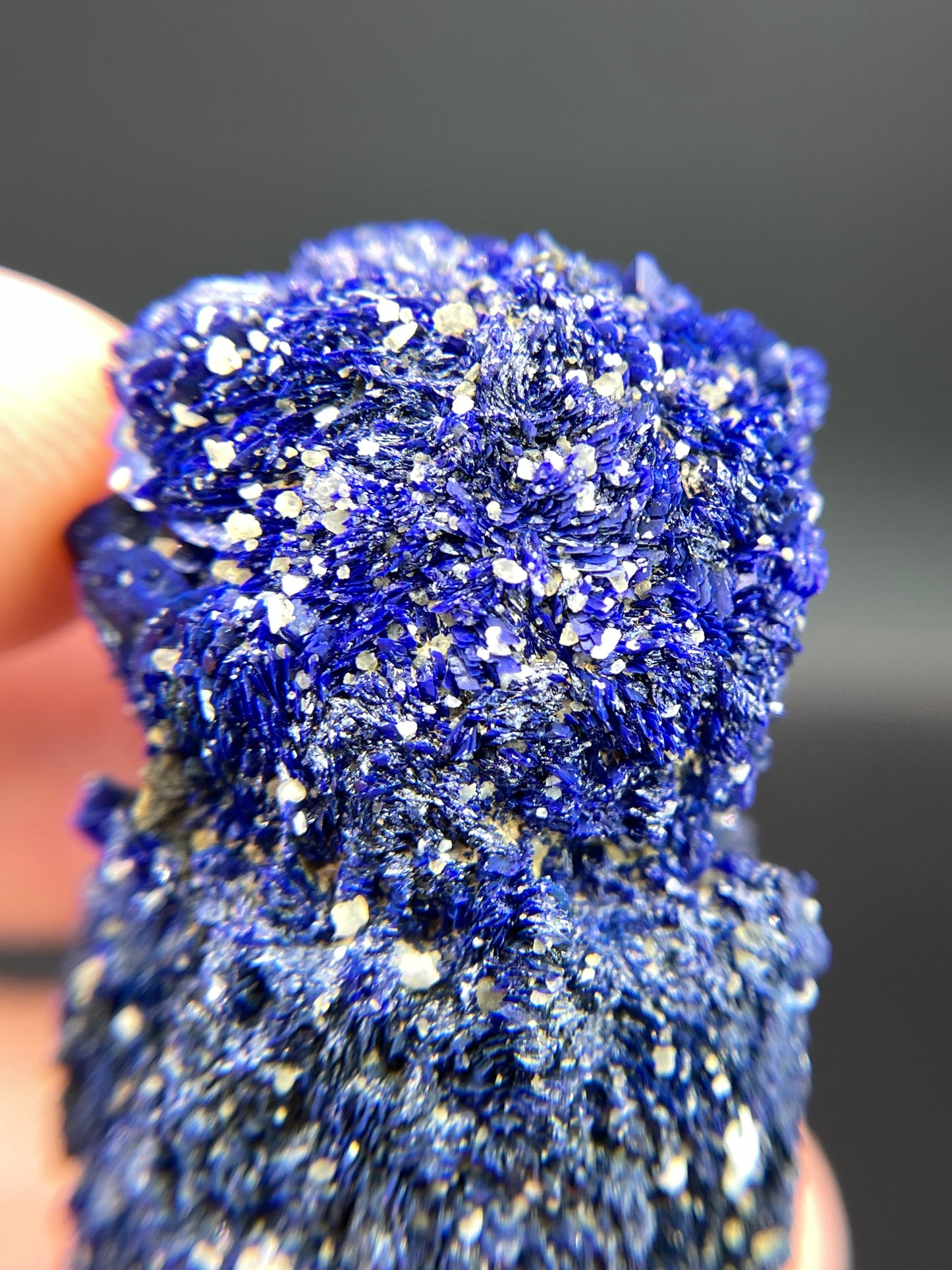 Azurite, Chessy-les-Mines, Rhone, Rhone-Alpes, France