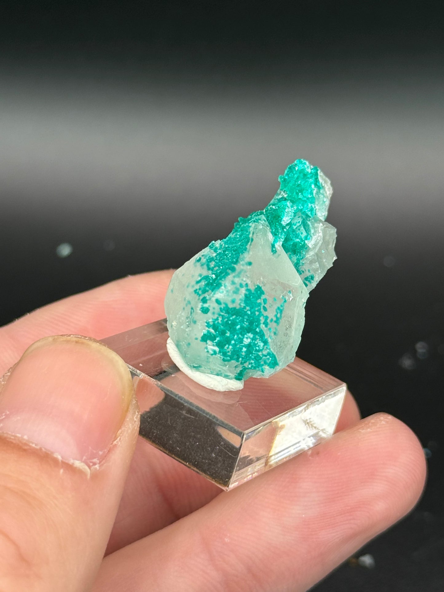 Dioptase and Quartz, Kunene Region, Namibia