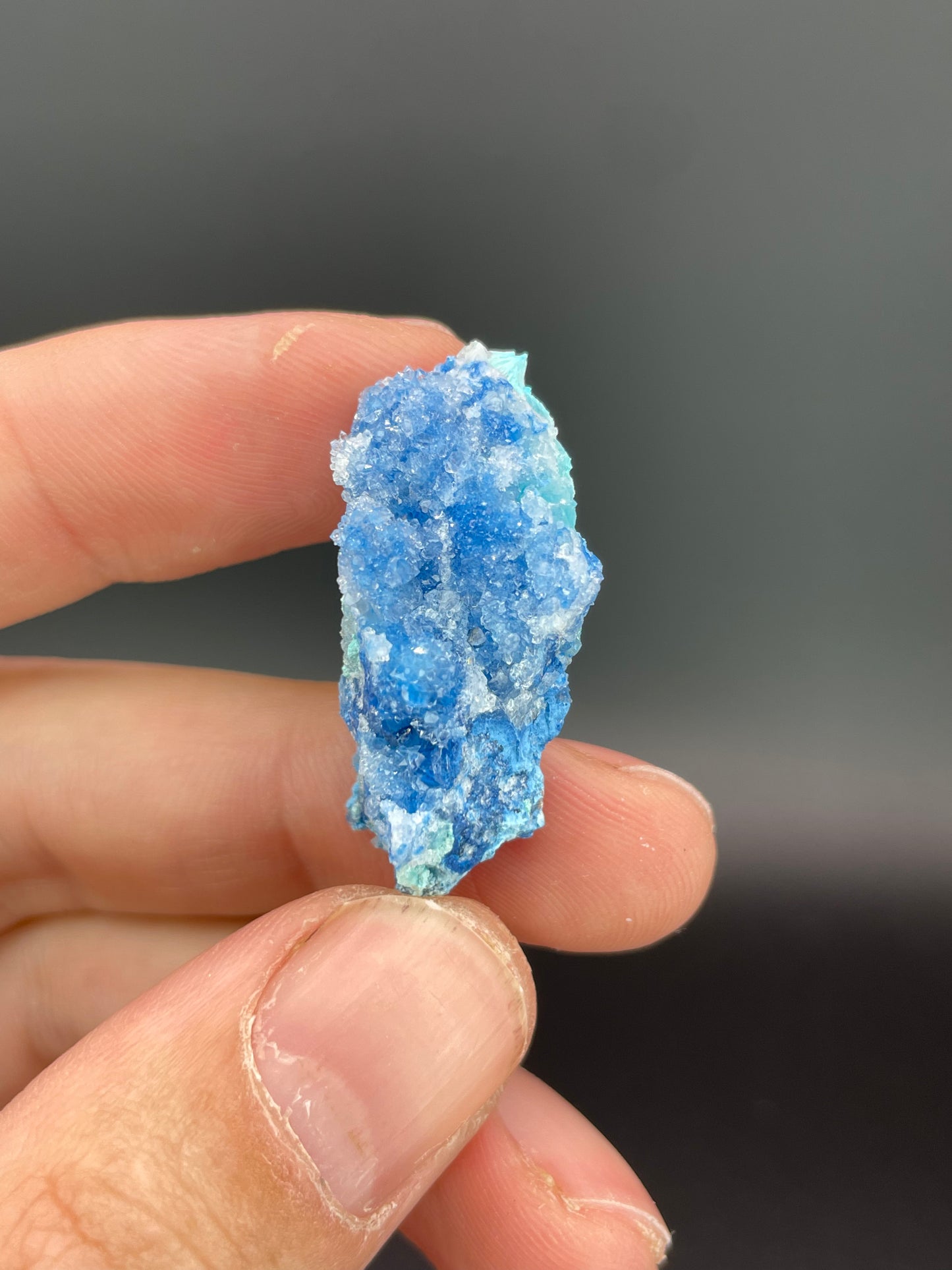 Shattuckite, Chrysocolla, Quartz, 992 Level, Milpillas Mine, Cuitaca, Sonora, Mexico