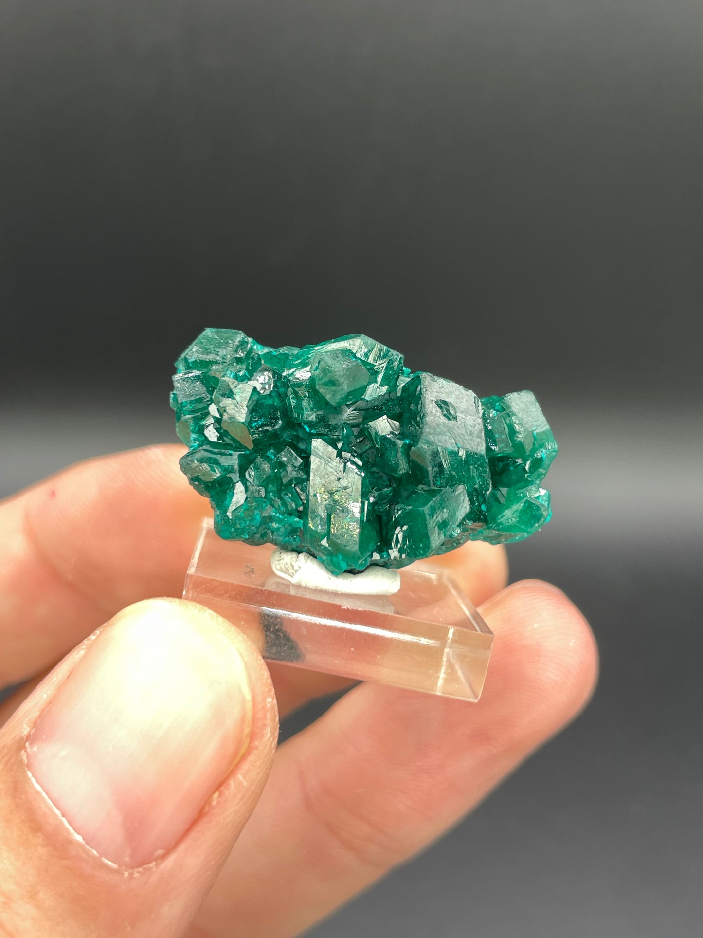 Dioptase, Tantara Mine, Haut-Katanga, DR Congo