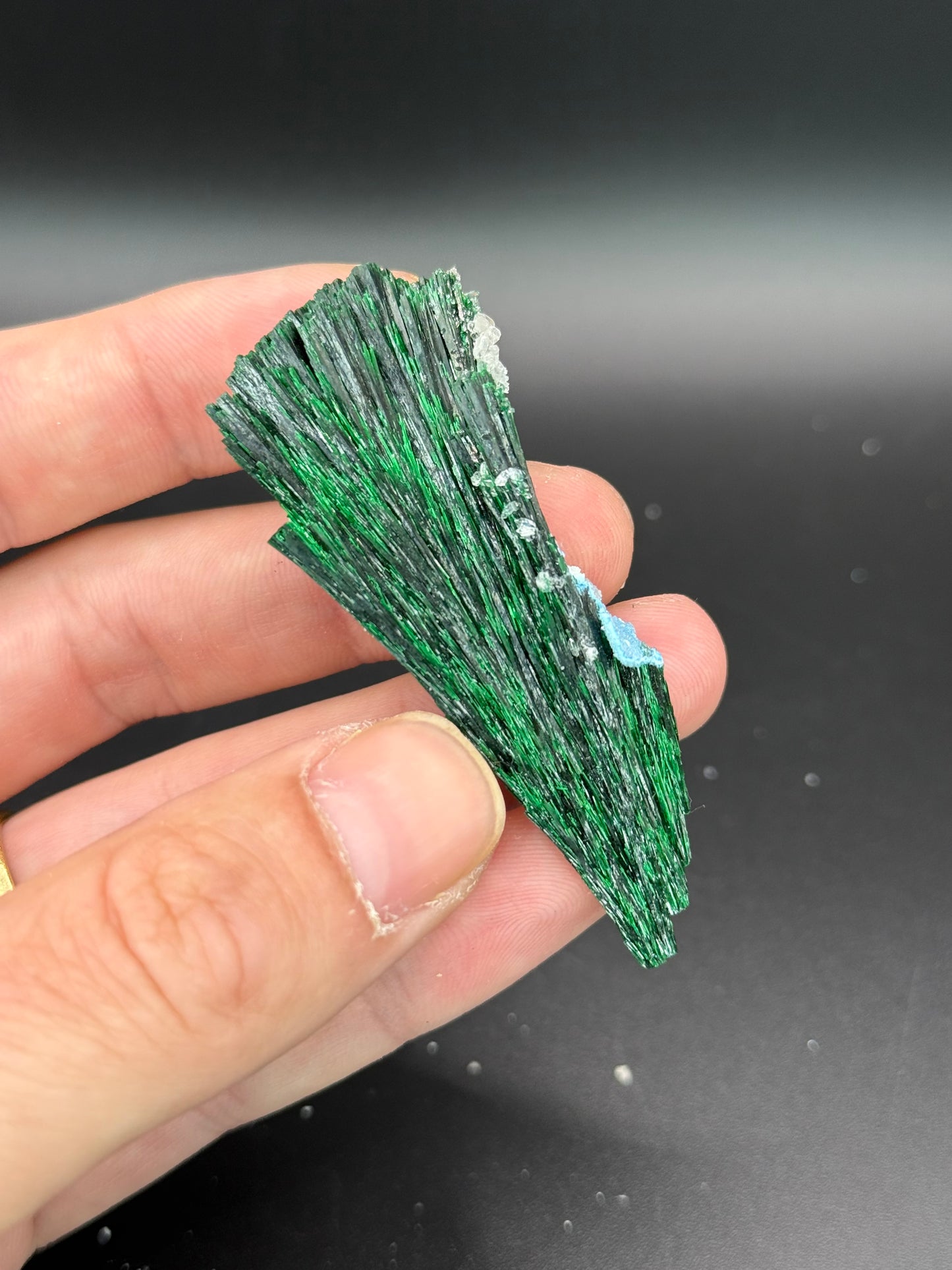 Malachite, Kunene Region, Namibia