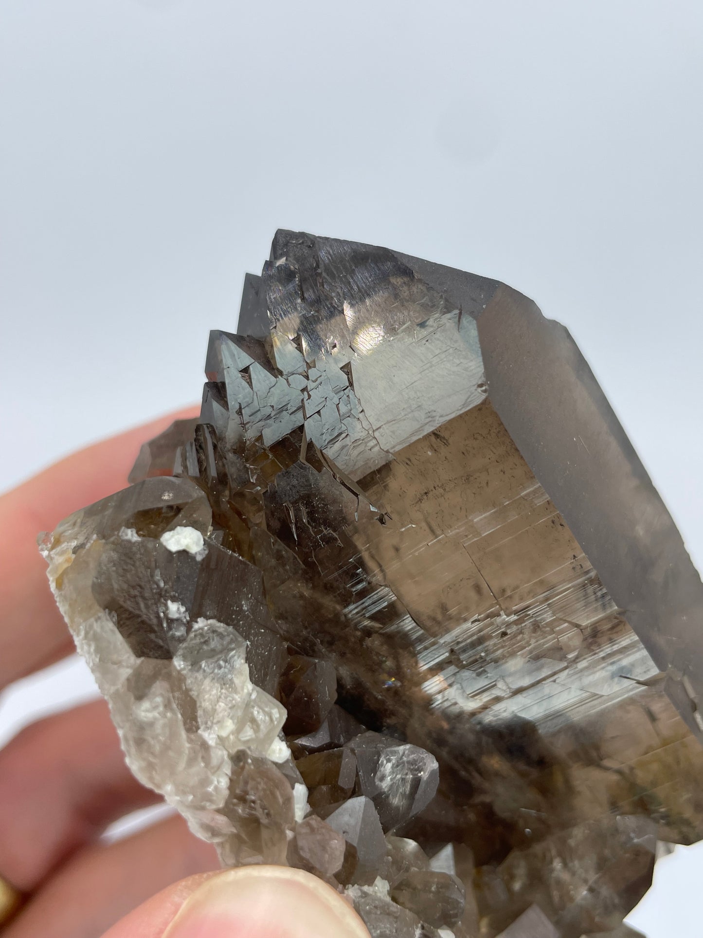 Gwindel Smoky Quartz, Sidelenglacier, Furka, Uri, Switzerland