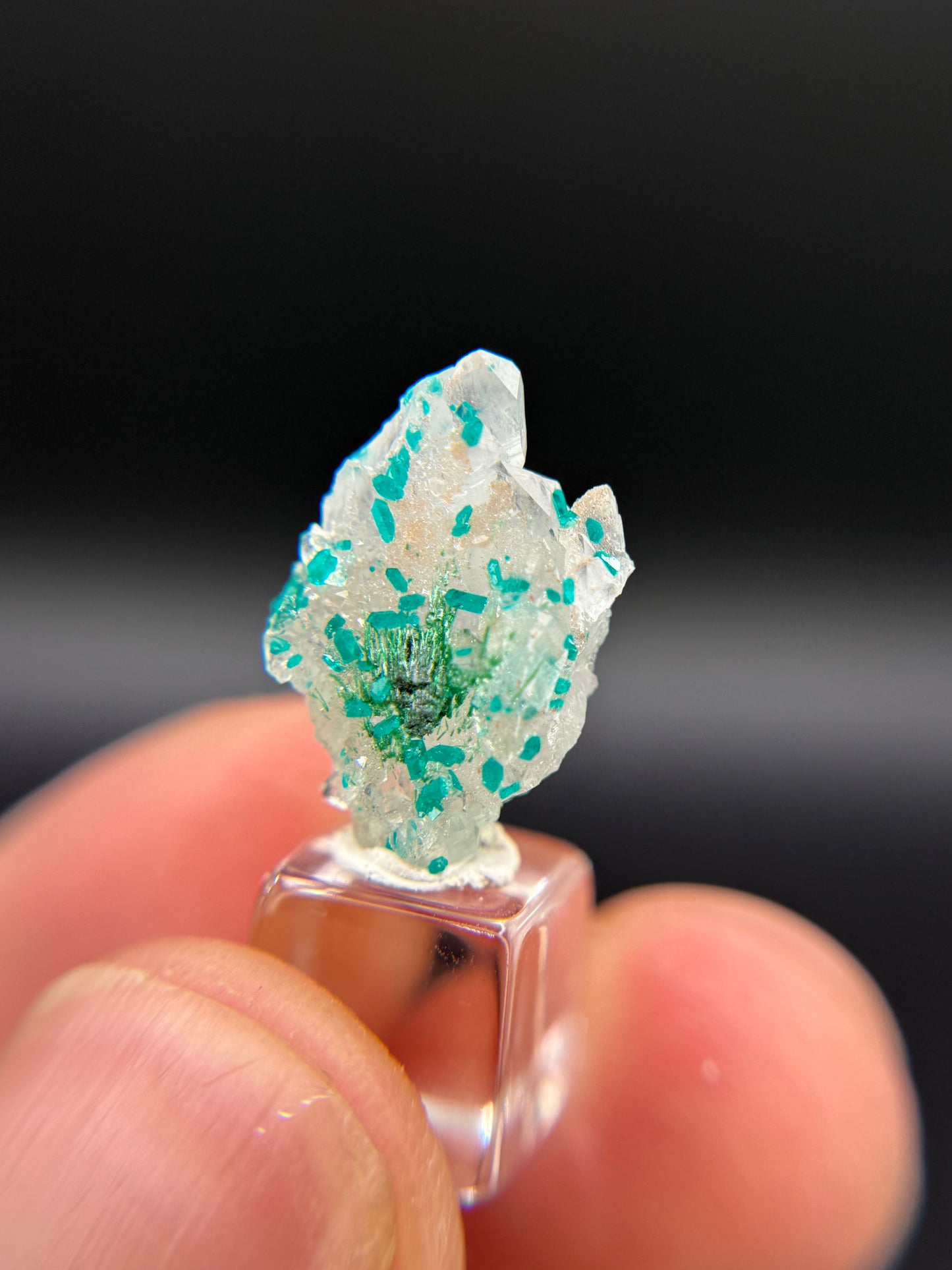Malachite, Dioptase and Quartz, Kunene Region, Namibia