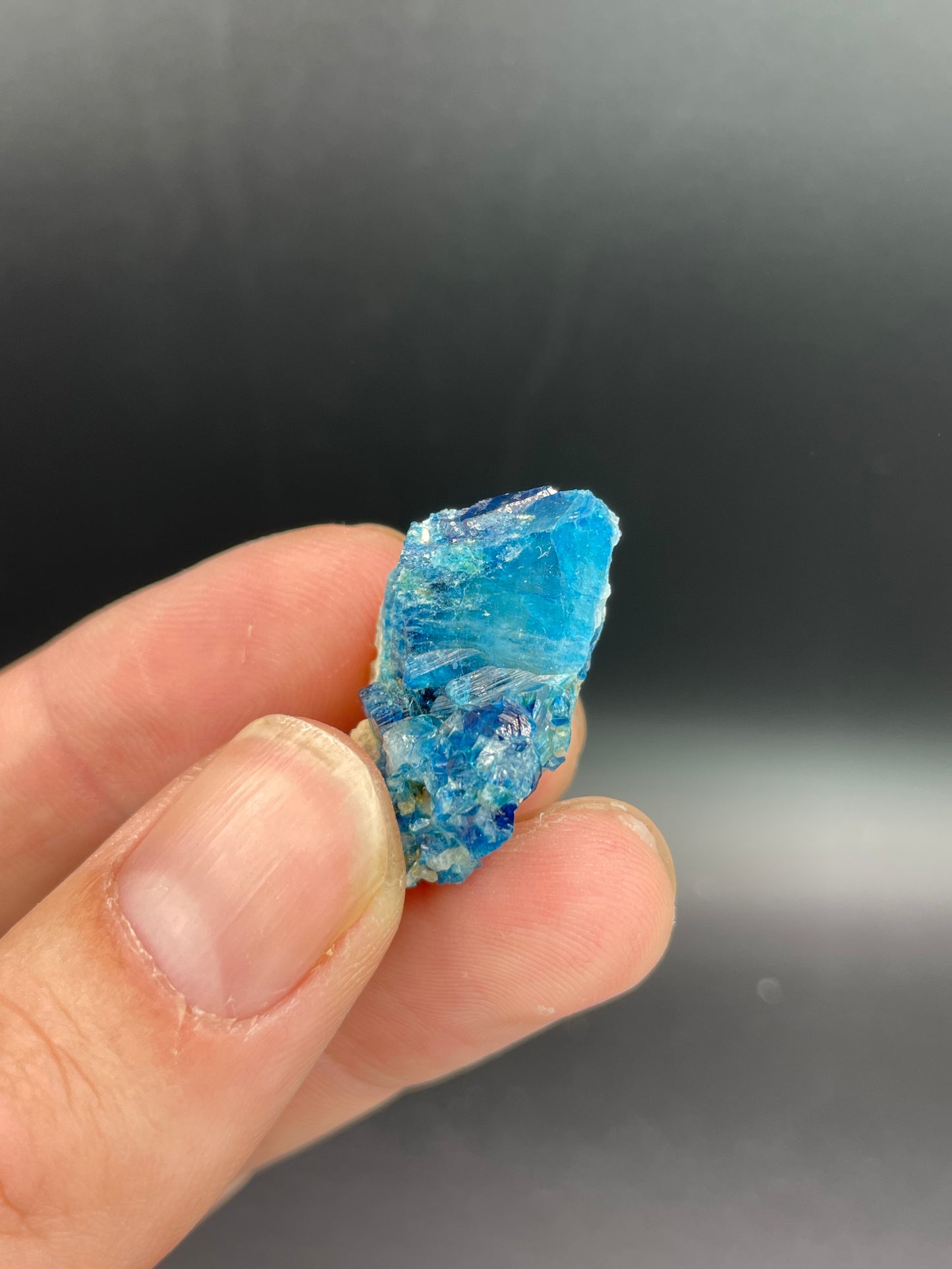 Euclase, Last Hope Mine, Mwami, Karoi District, Mashonaland West, Zimbabwe