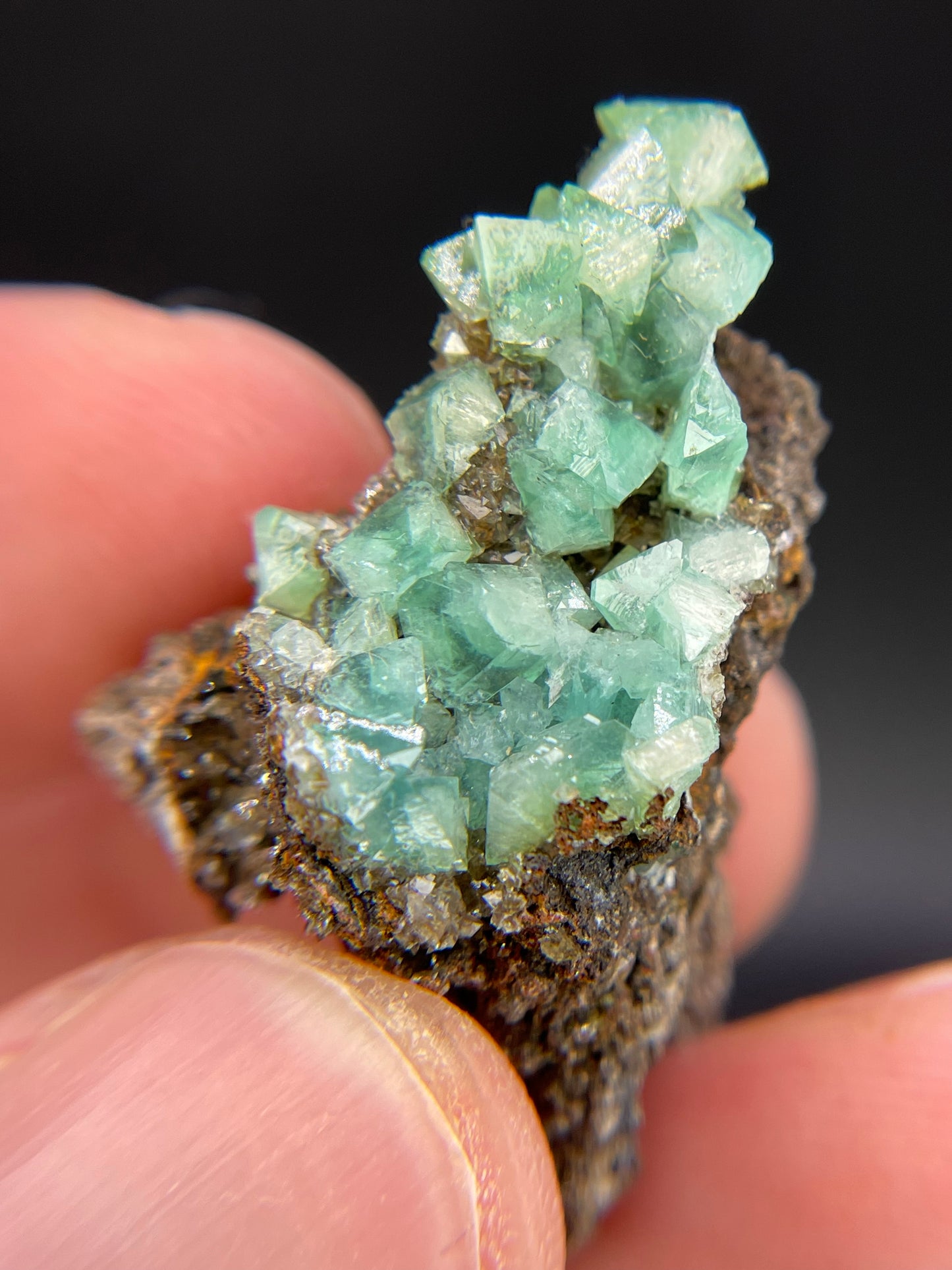 Cuprian Adamite, Ojuela Mine, Mapimi, Durango, Mexico