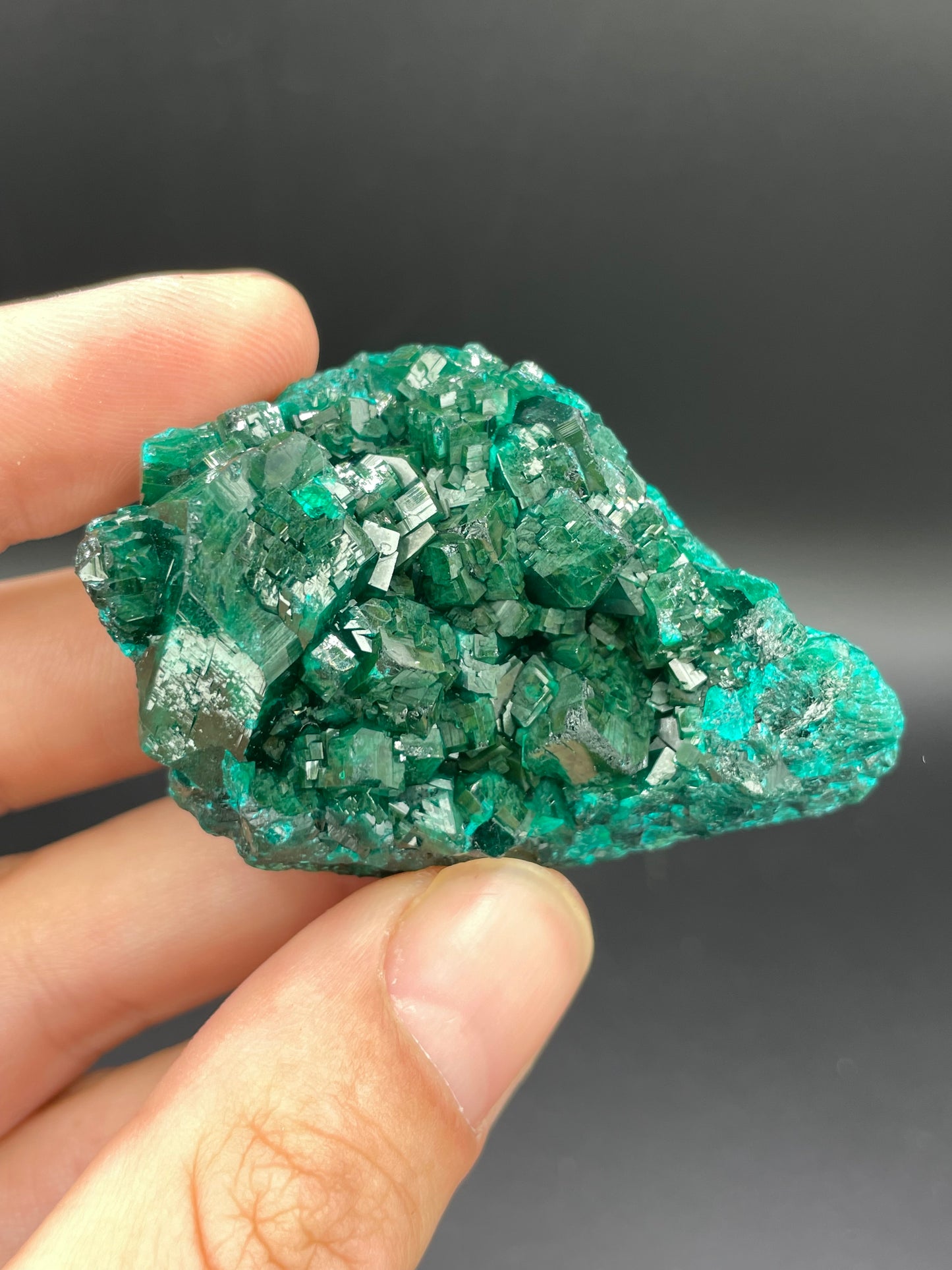 Dioptase, Tantara Mine, Haut-Katanga, DR Congo