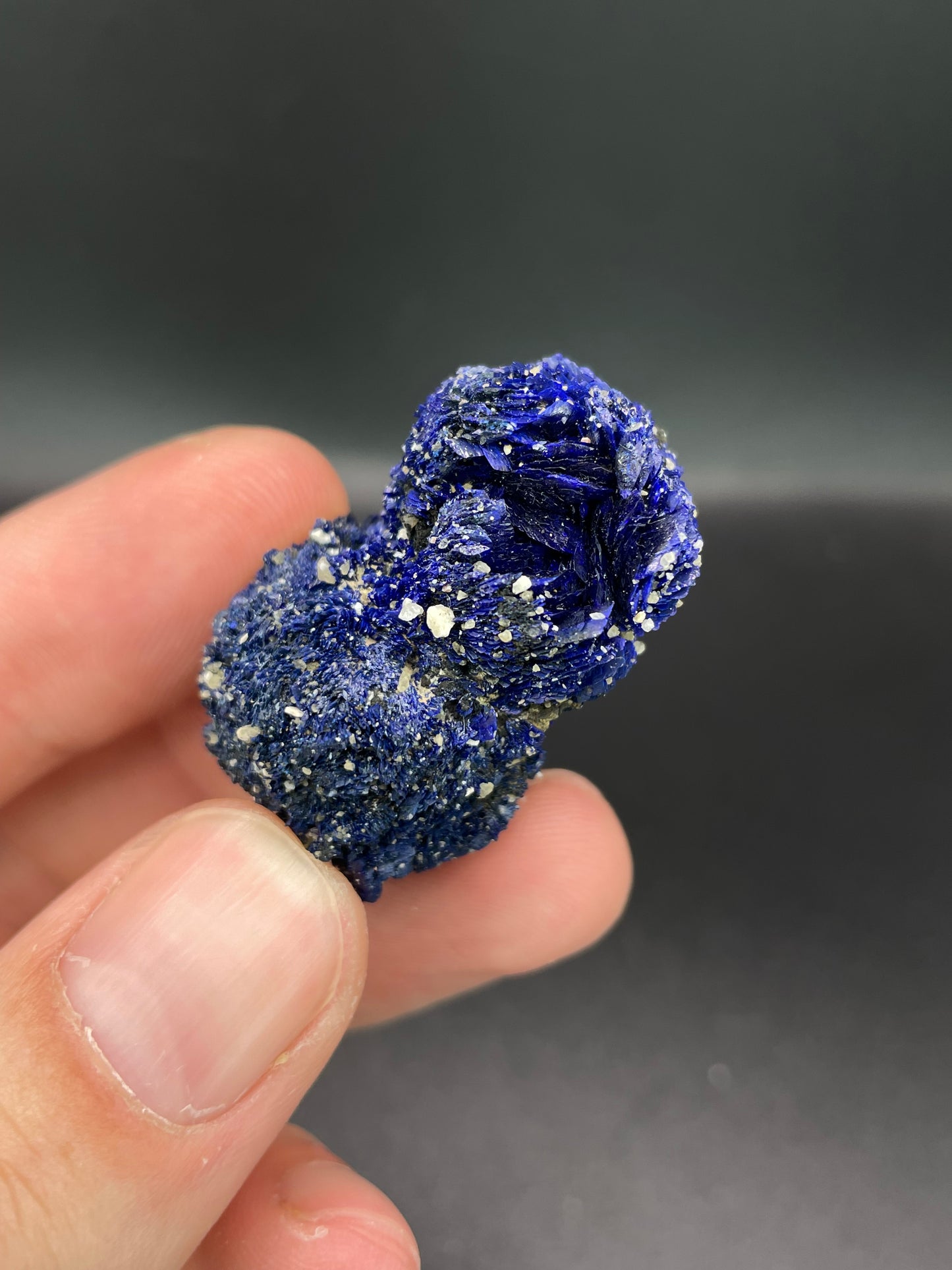 Azurite, Chessy-les-Mines, Rhone, Rhone-Alpes, France