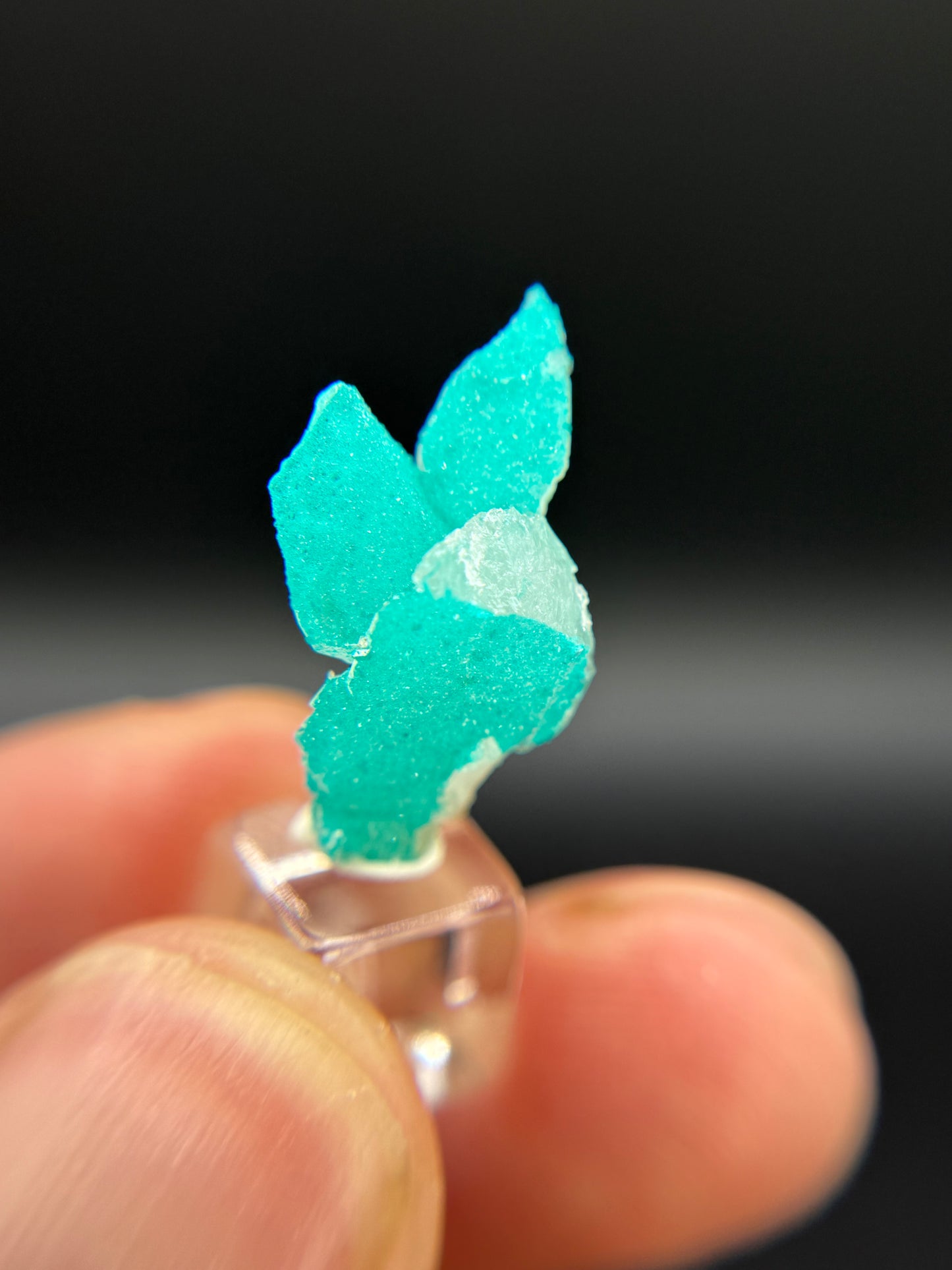Dioptase and Quartz, Kunene Region, Namibia