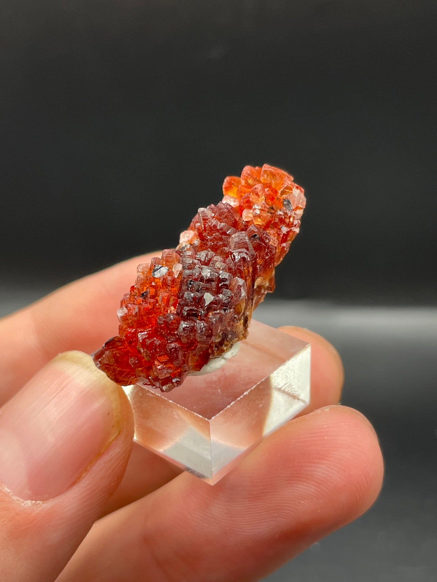 Rhodochrosite, Hotazel, Northern Cape Province, South Africa