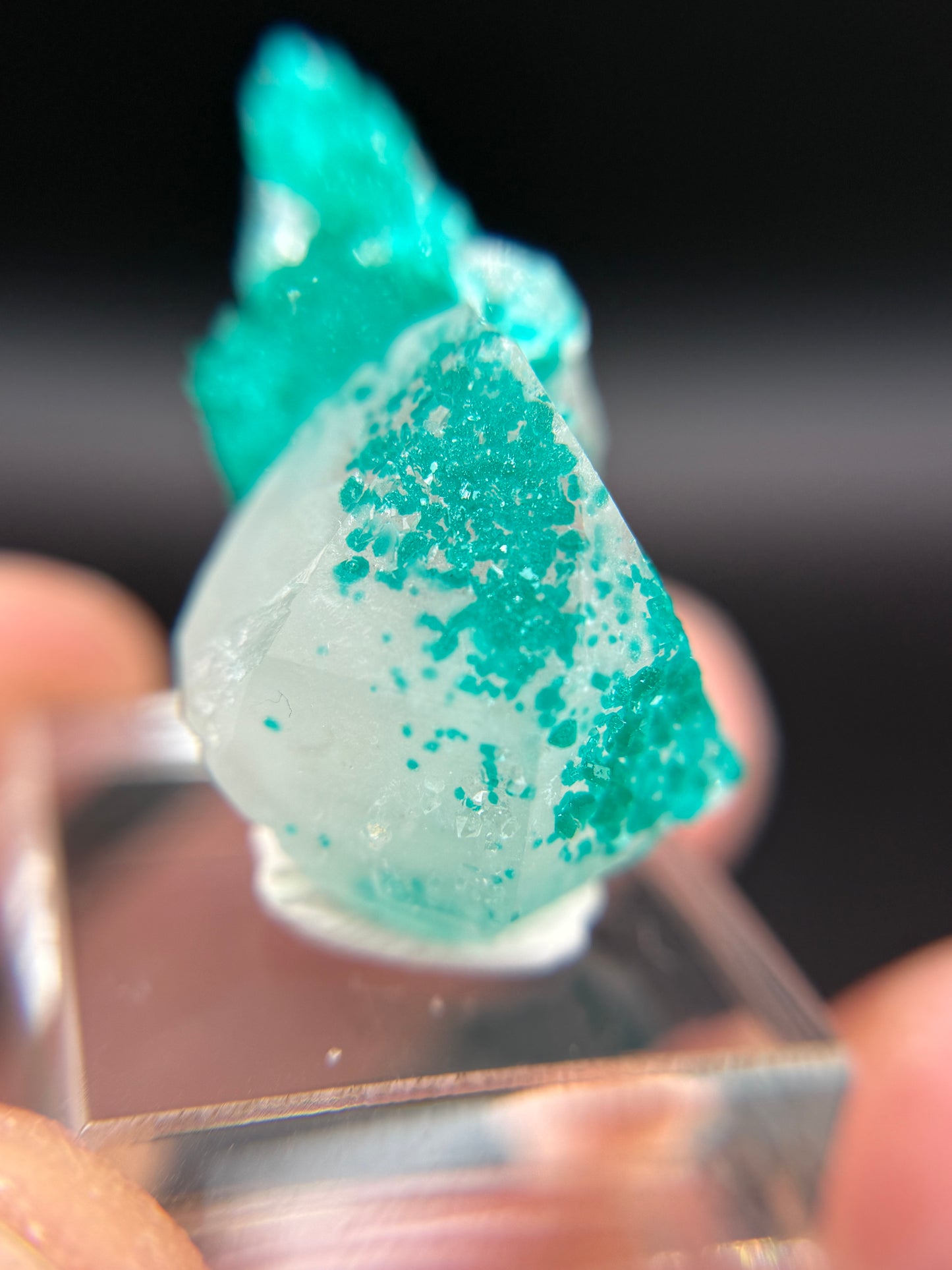 Dioptase and Quartz, Kunene Region, Namibia