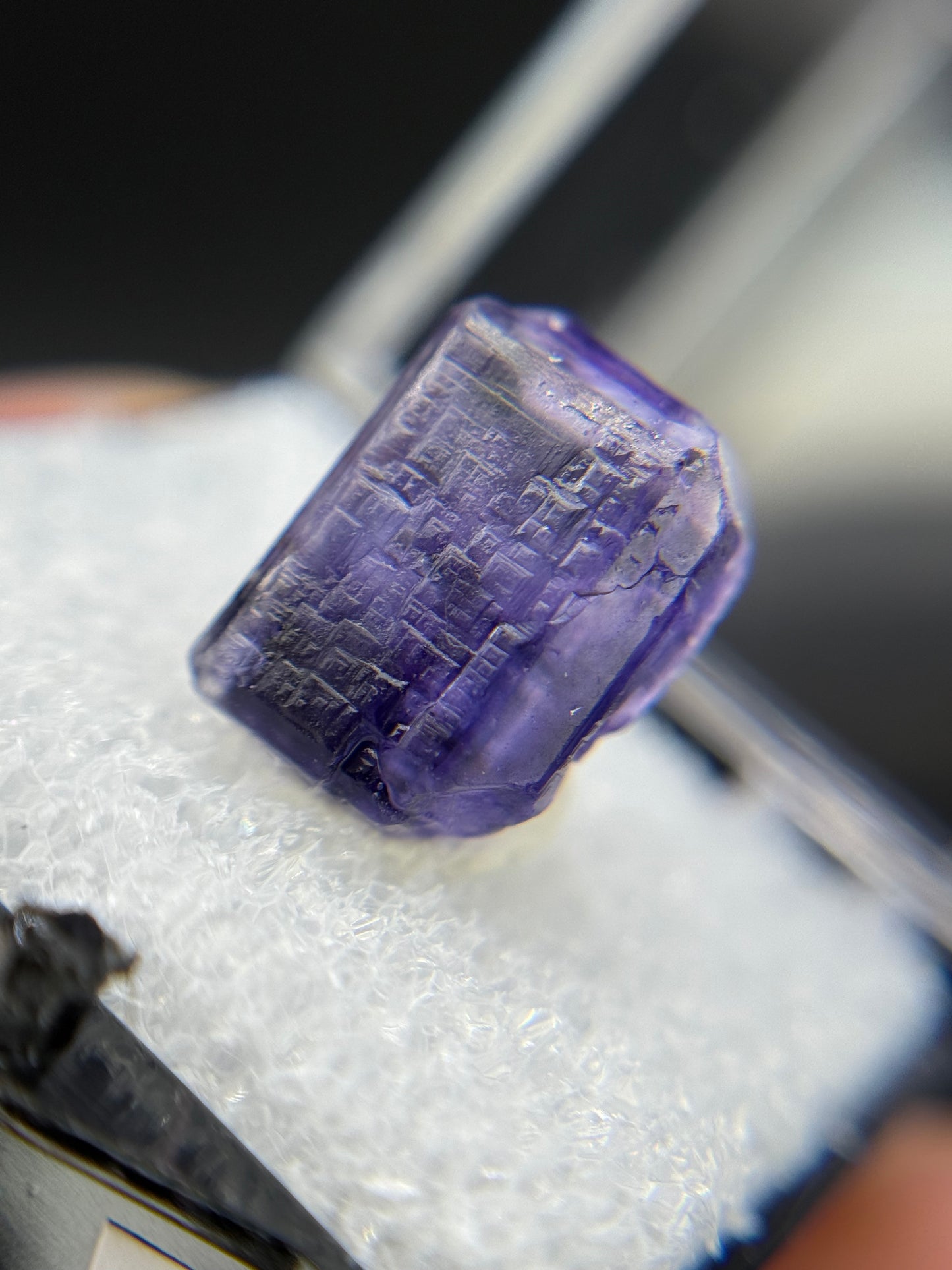 Fluorite (color change), Mandinga Mine, Laguna Brava, Loboy District, Unión Department, Córdoba Province, Argentina.