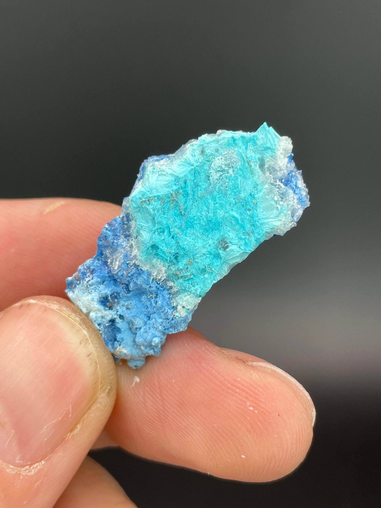 Shattuckite, Chrysocolla, Quartz, 992 Level, Milpillas Mine, Cuitaca, Sonora, Mexico