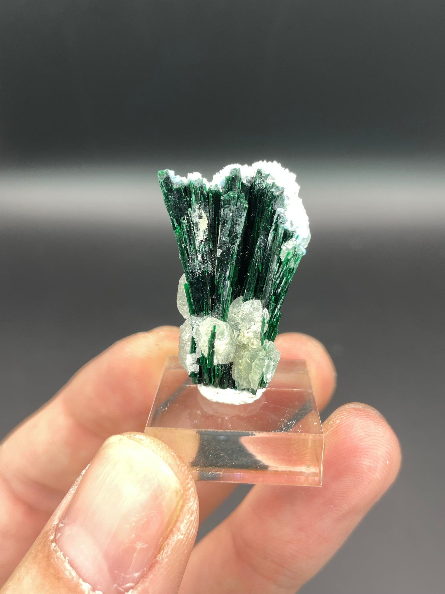 Malachite, Shattuckite, Quartz and Calcite, Kunene Region, Namibia