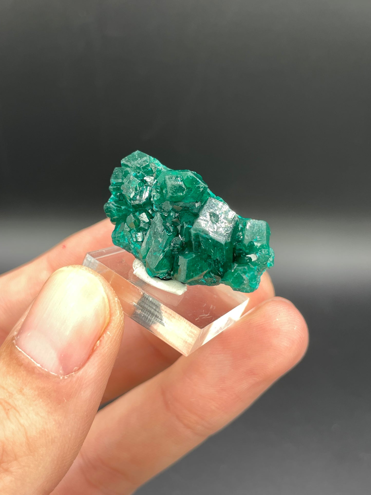 Dioptase, Tantara Mine, Haut-Katanga, DR Congo
