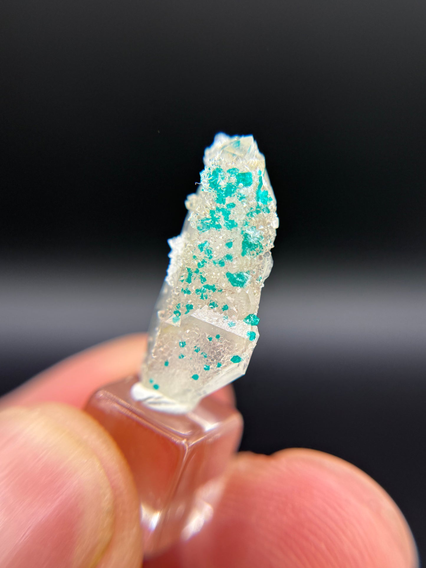 Dioptase and Quartz, Kunene Region, Namibia