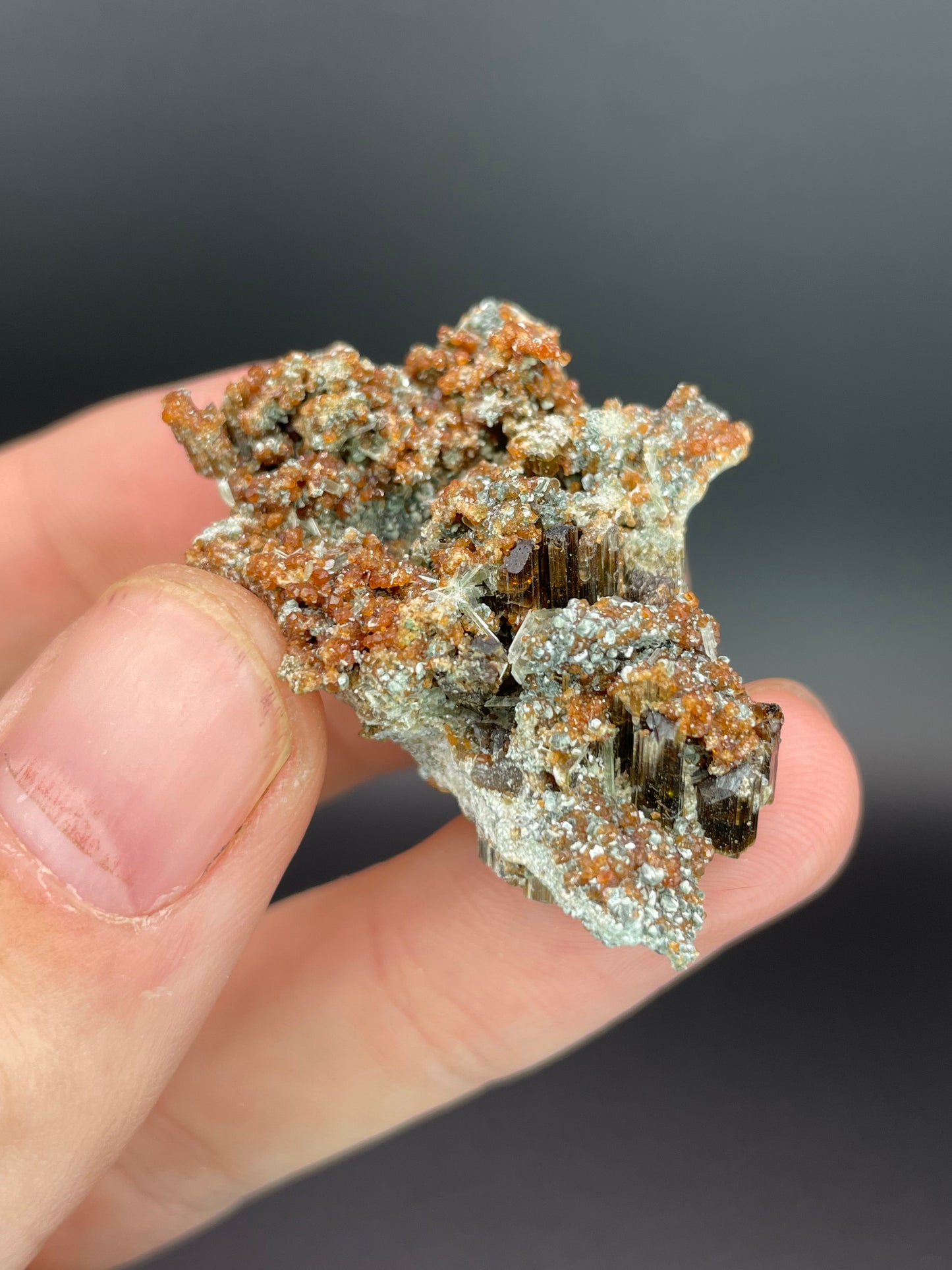 Vesuvianite, Diopside, Hessonite Garnet, Clinochlore, Valle d'Aosta, Italy