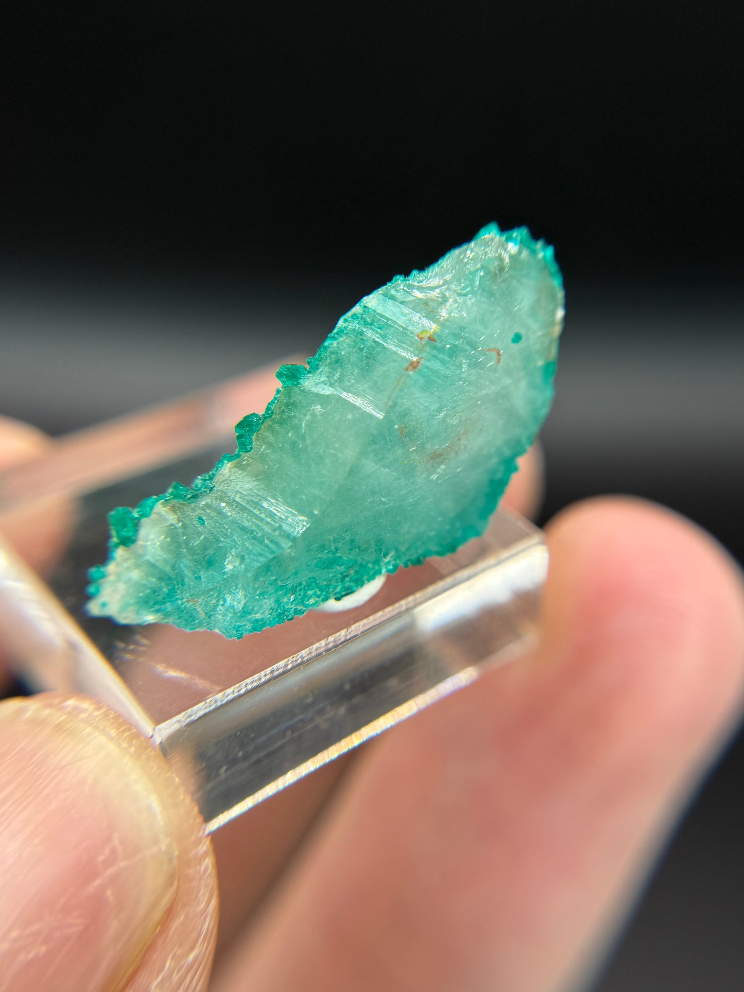 Dioptase and Quartz, Kunene Region, Namibia